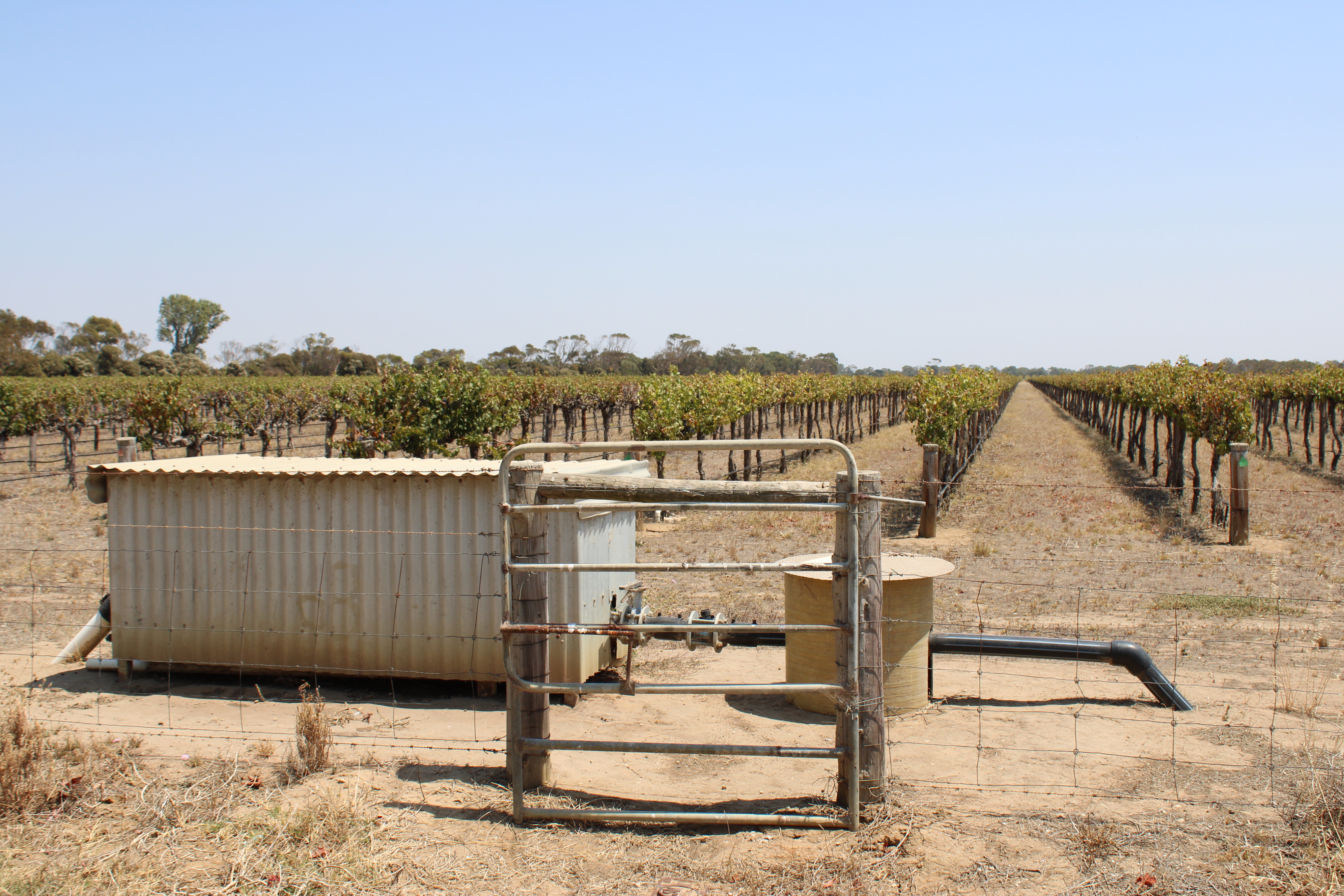 359 Chapel Road, Lake Plains SA, Lake Plains - Thumbnail 8