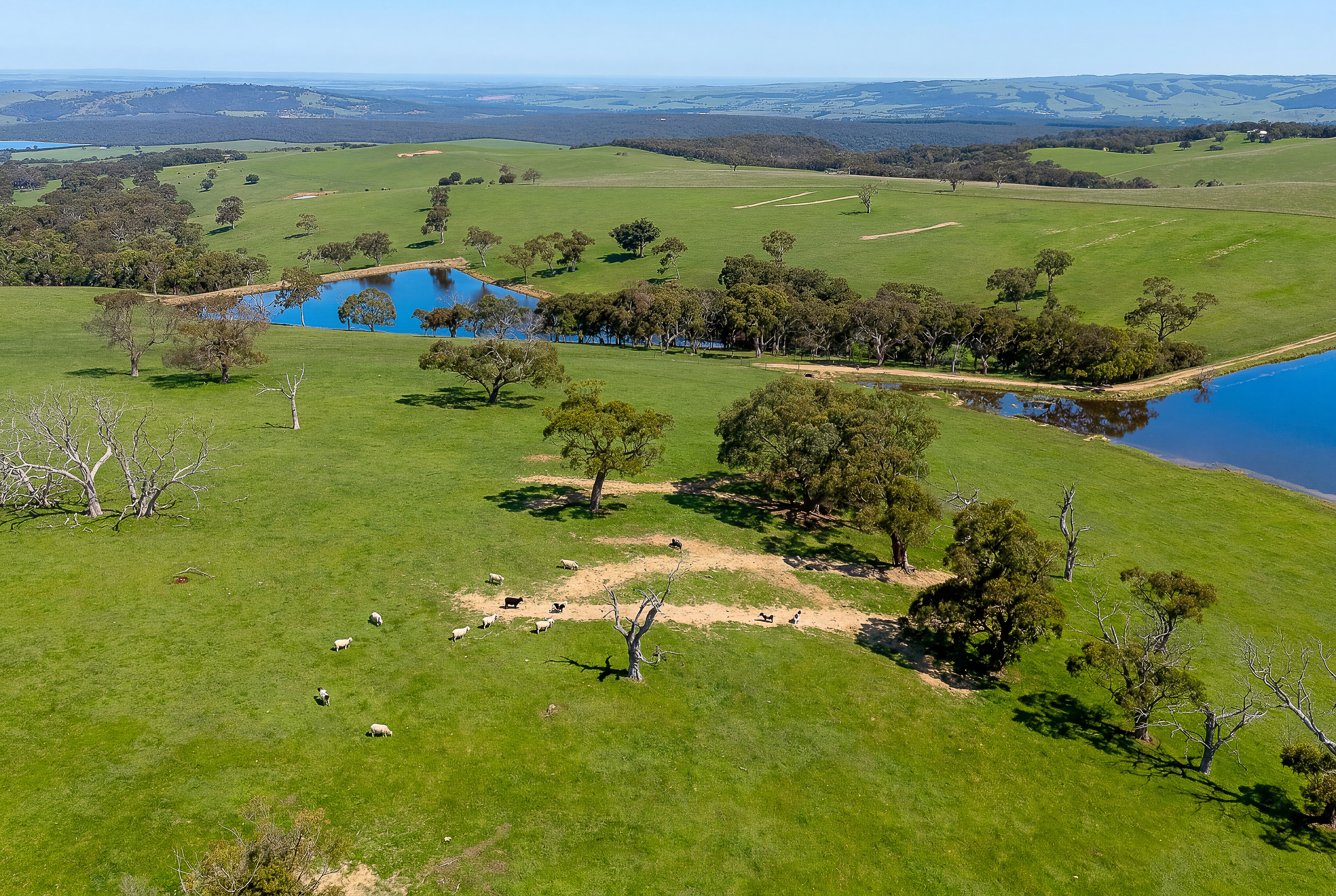 A22 Cole Crossing Road, Mount Magnificent SA, Mount Magnificent - Image 1