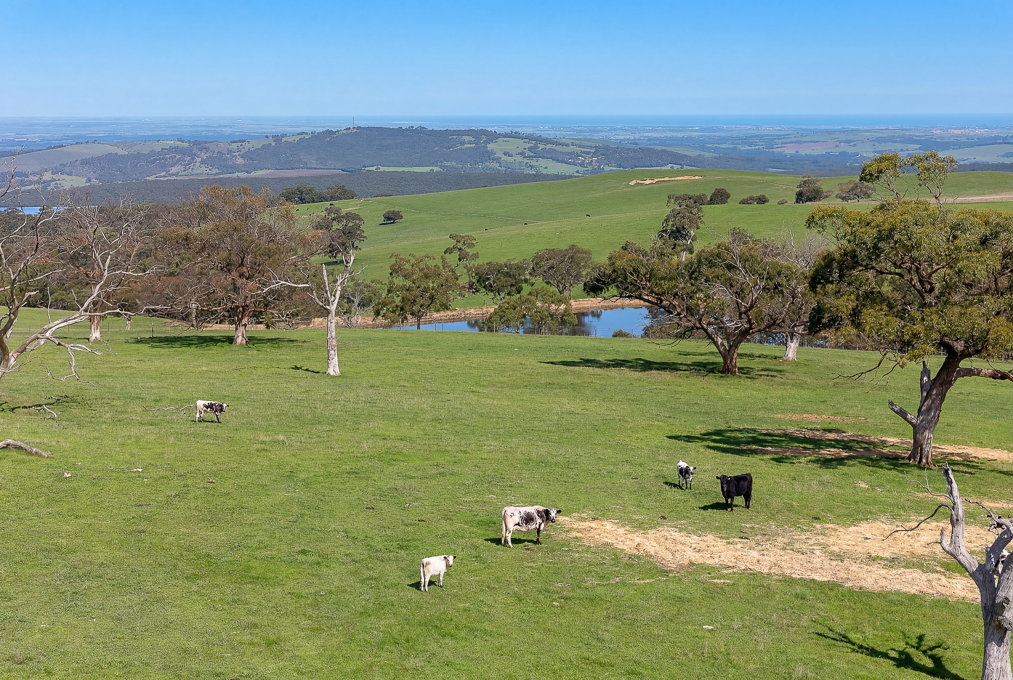 A22 Cole Crossing Road, Mount Magnificent SA, Mount Magnificent - Thumbnail 6