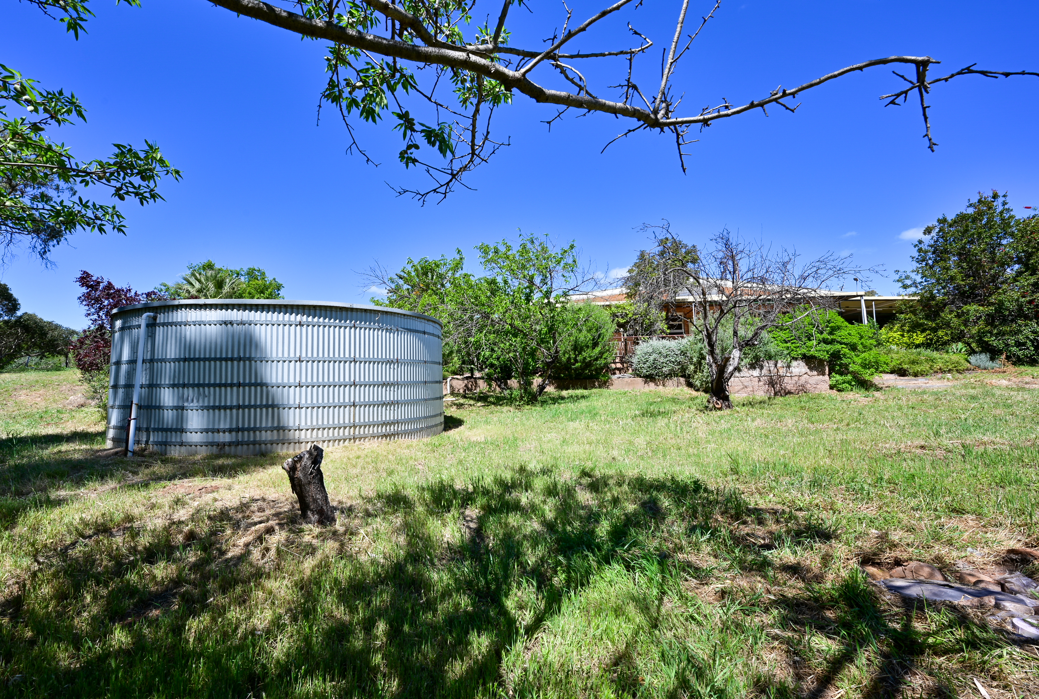 31 Stuart Street, Melrose For Sale by Farmbuy.com - image 24