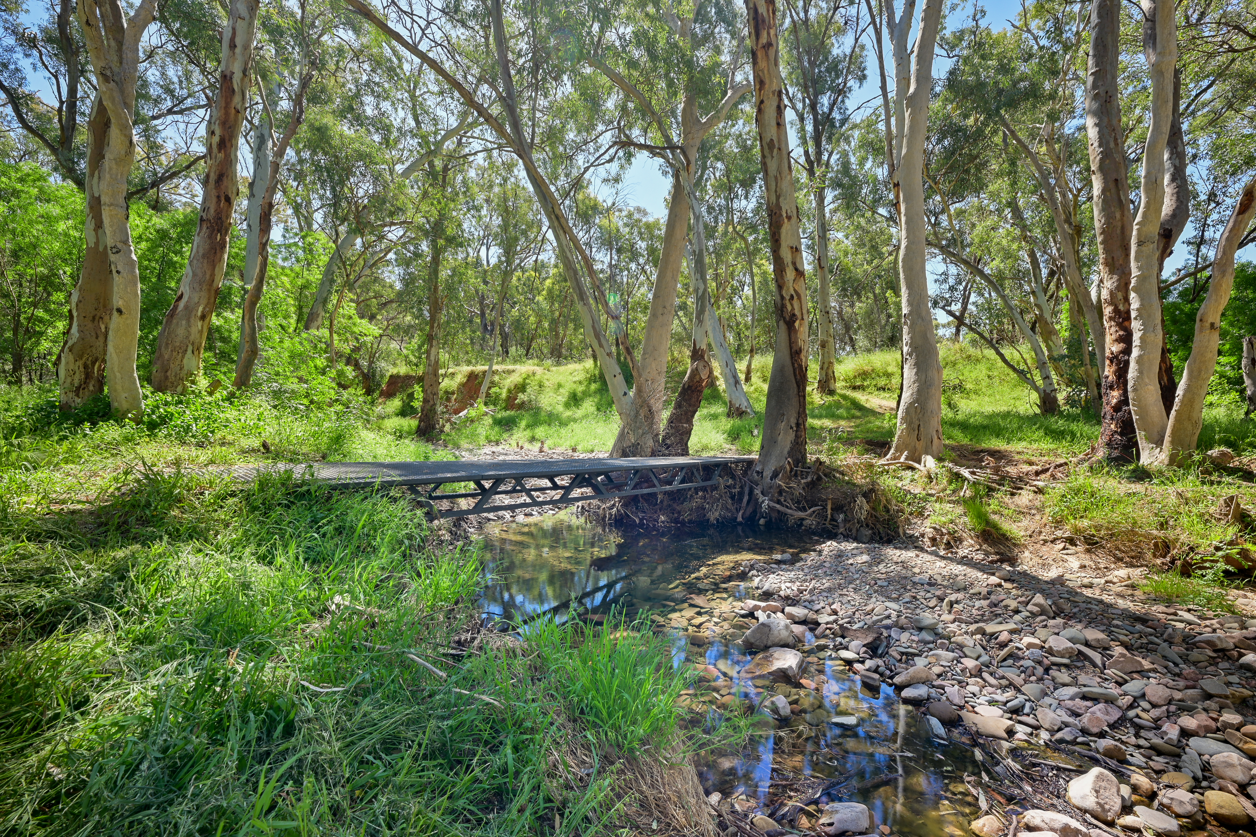 31 Stuart Street, Melrose For Sale by Farmbuy.com - image 26