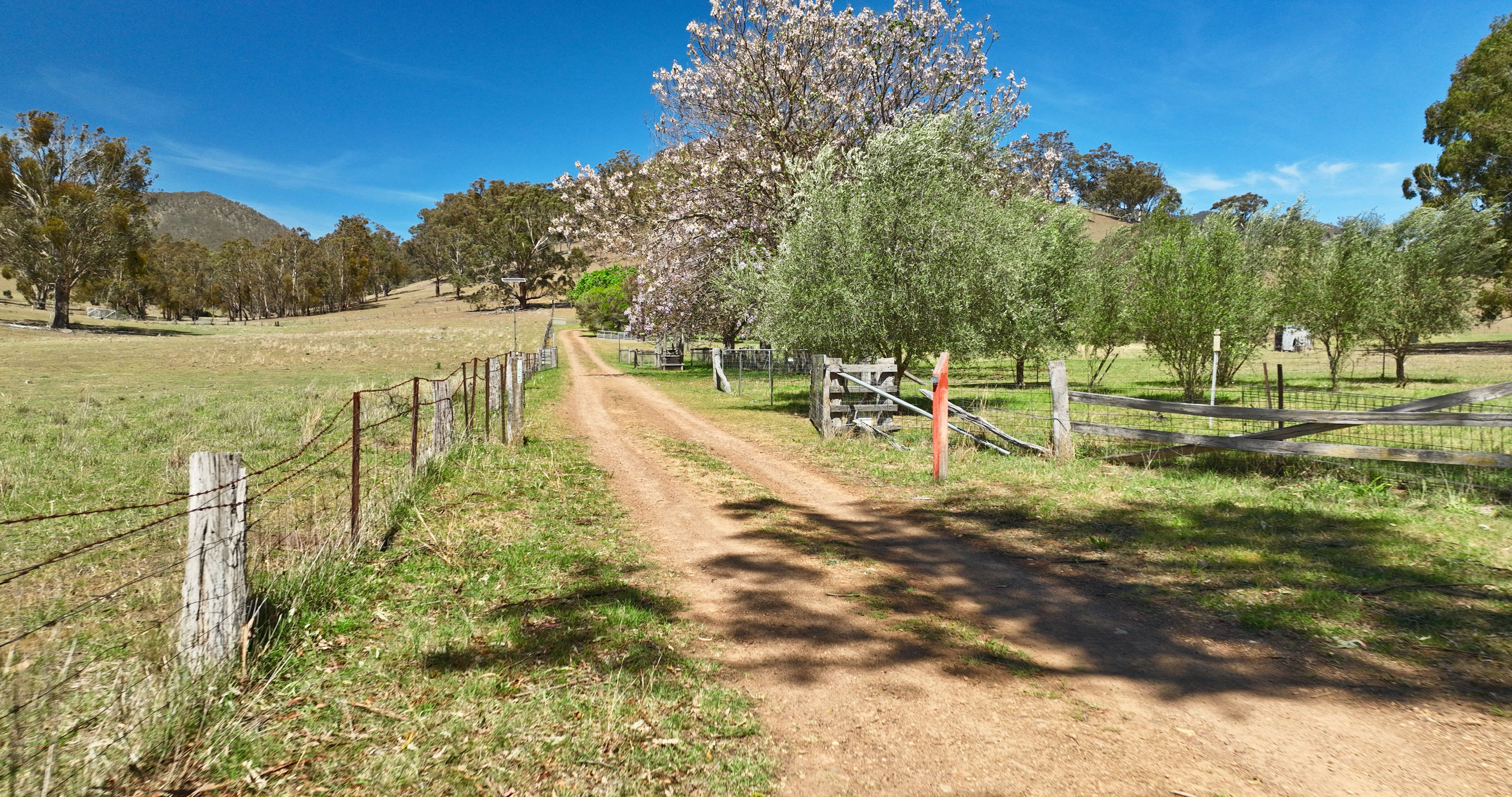 185 Brookville Road, Swifts Creek For Sale by Farmbuy.com - image 25