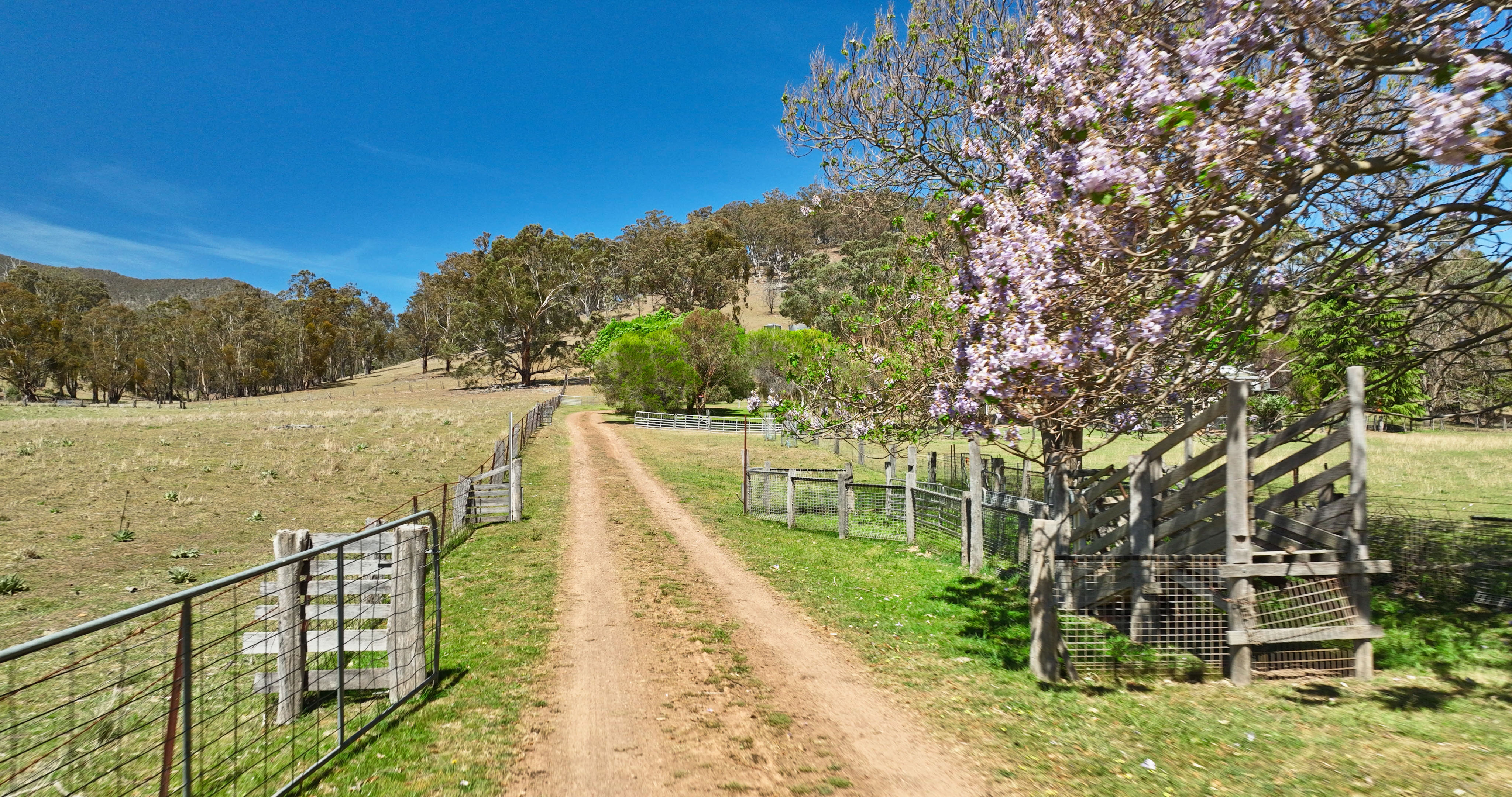 185 Brookville Road, Swifts Creek For Sale by Farmbuy.com - image 26