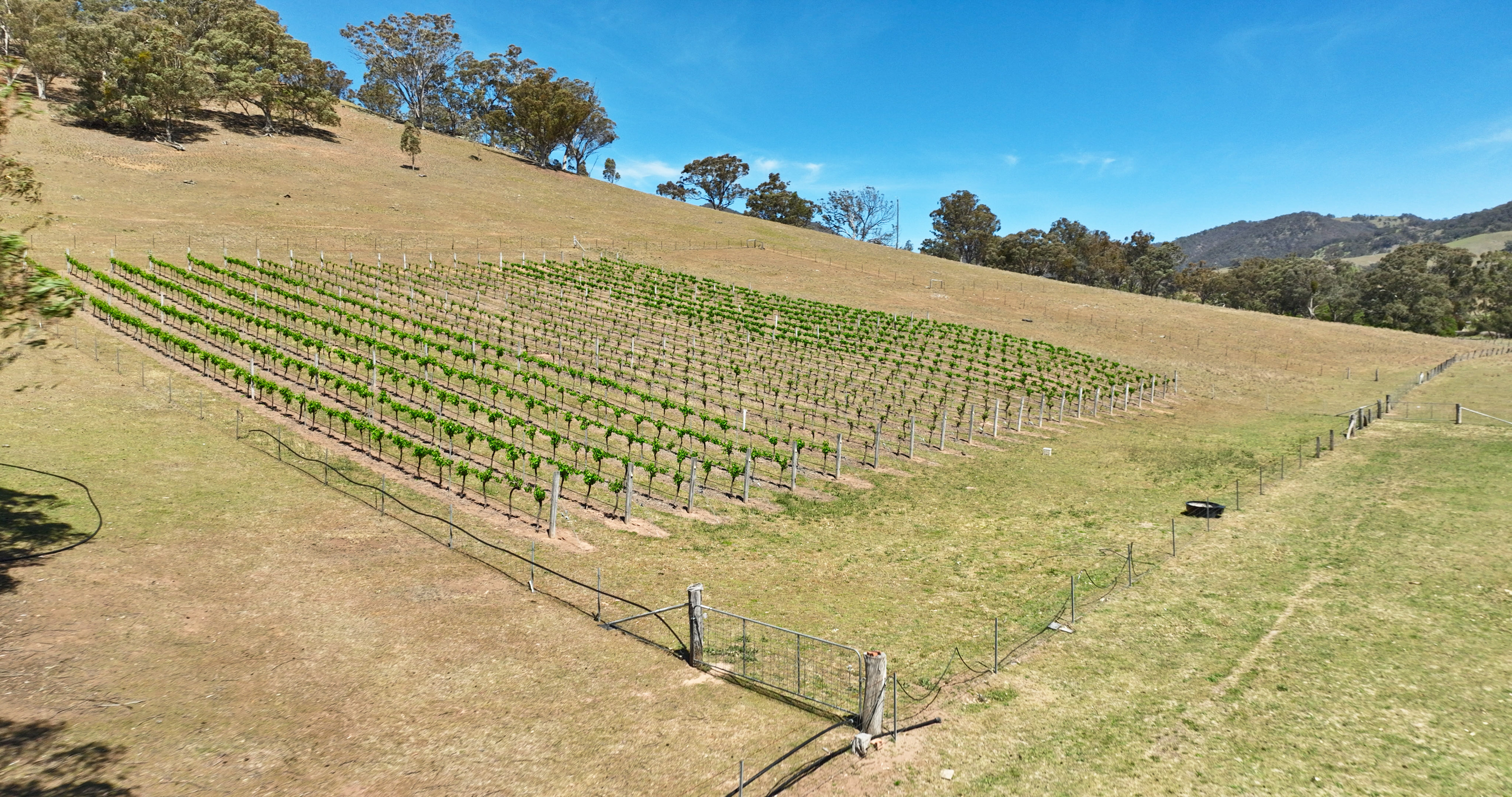 185 Brookville Road, Swifts Creek For Sale by Farmbuy.com - image 29