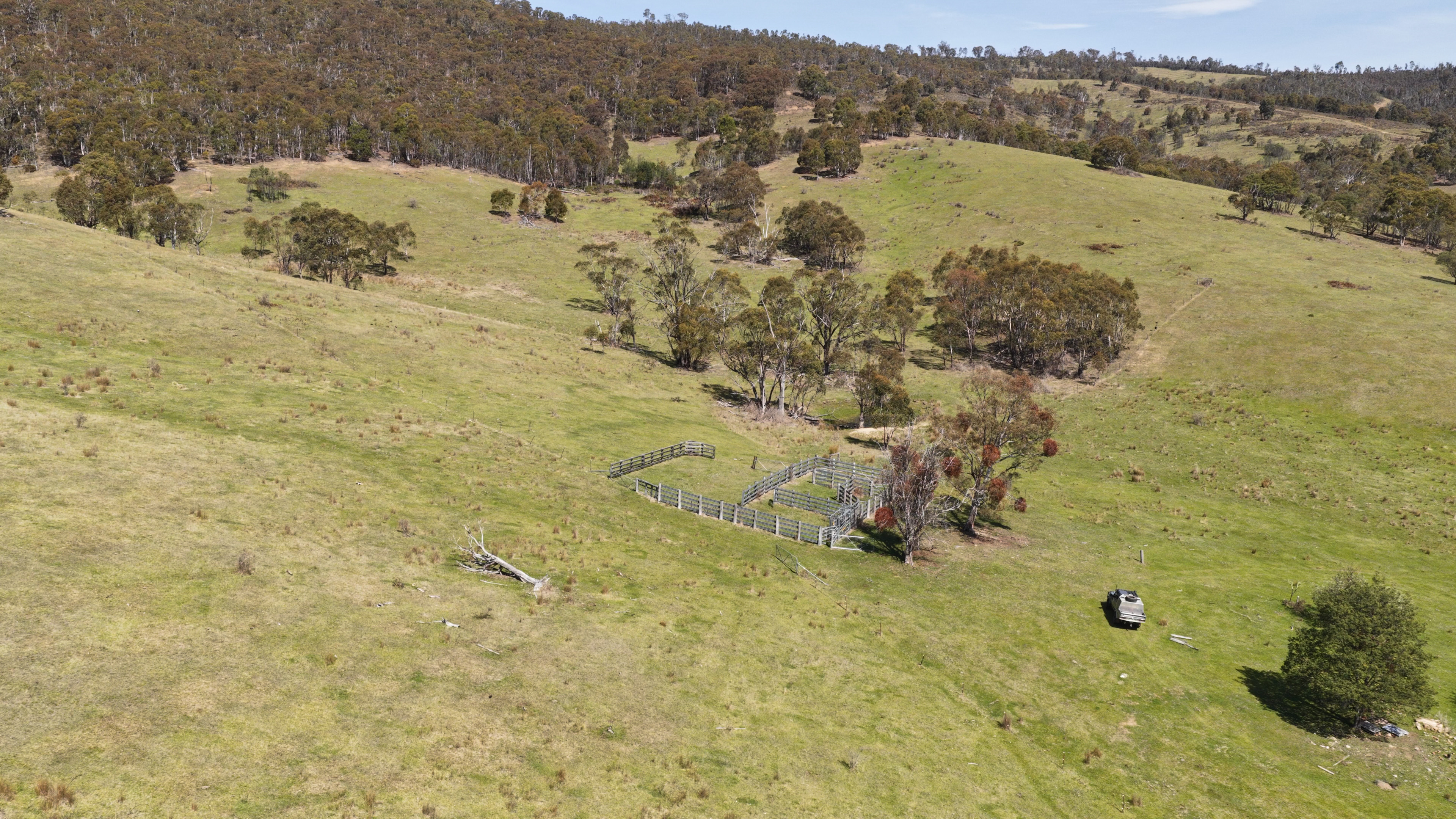 620 Bingo Tice Road, Anglers Rest VIC 3898