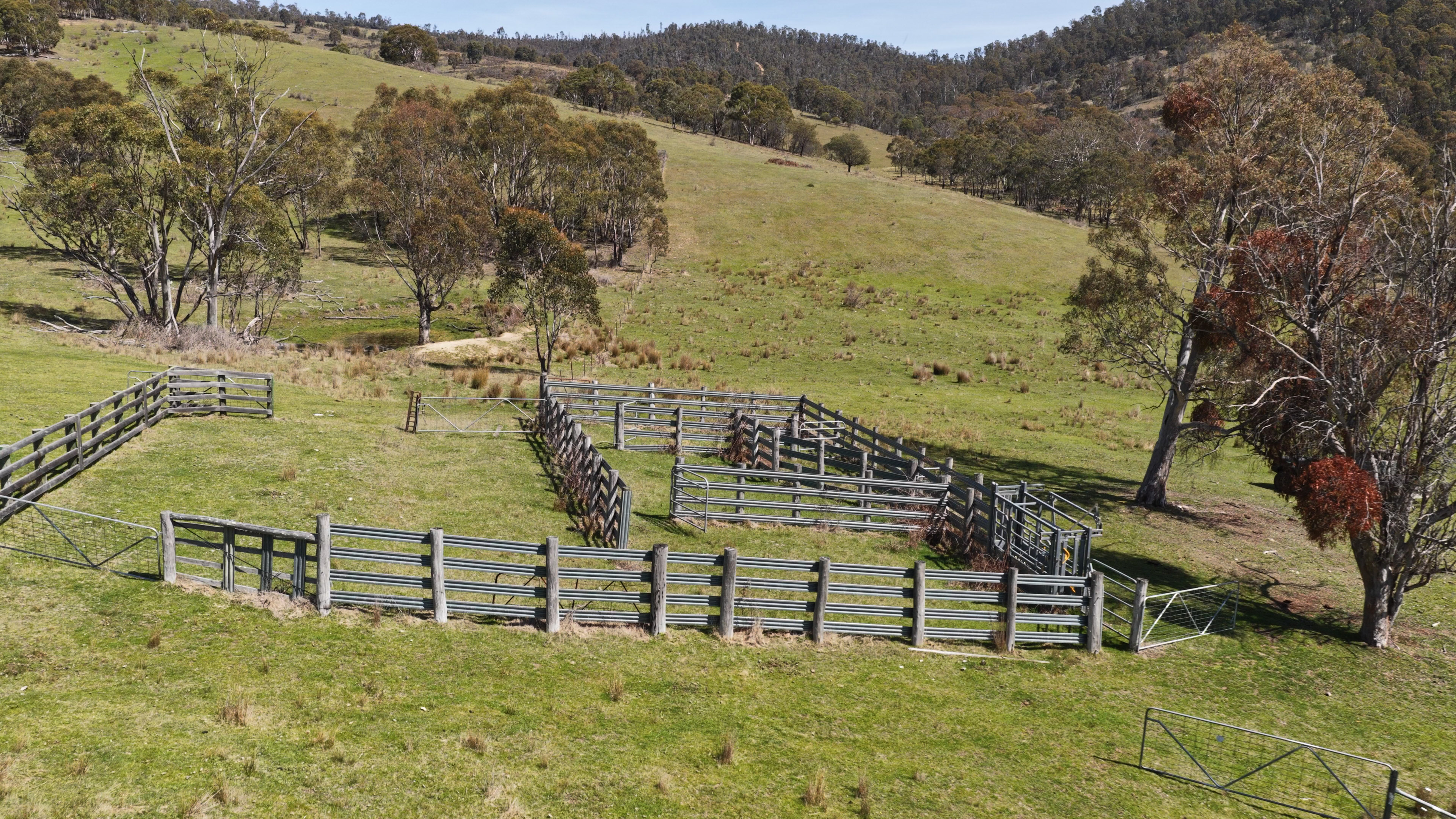 620 Bingo Tice Road, Anglers Rest For Sale by Farmbuy.com - image 8