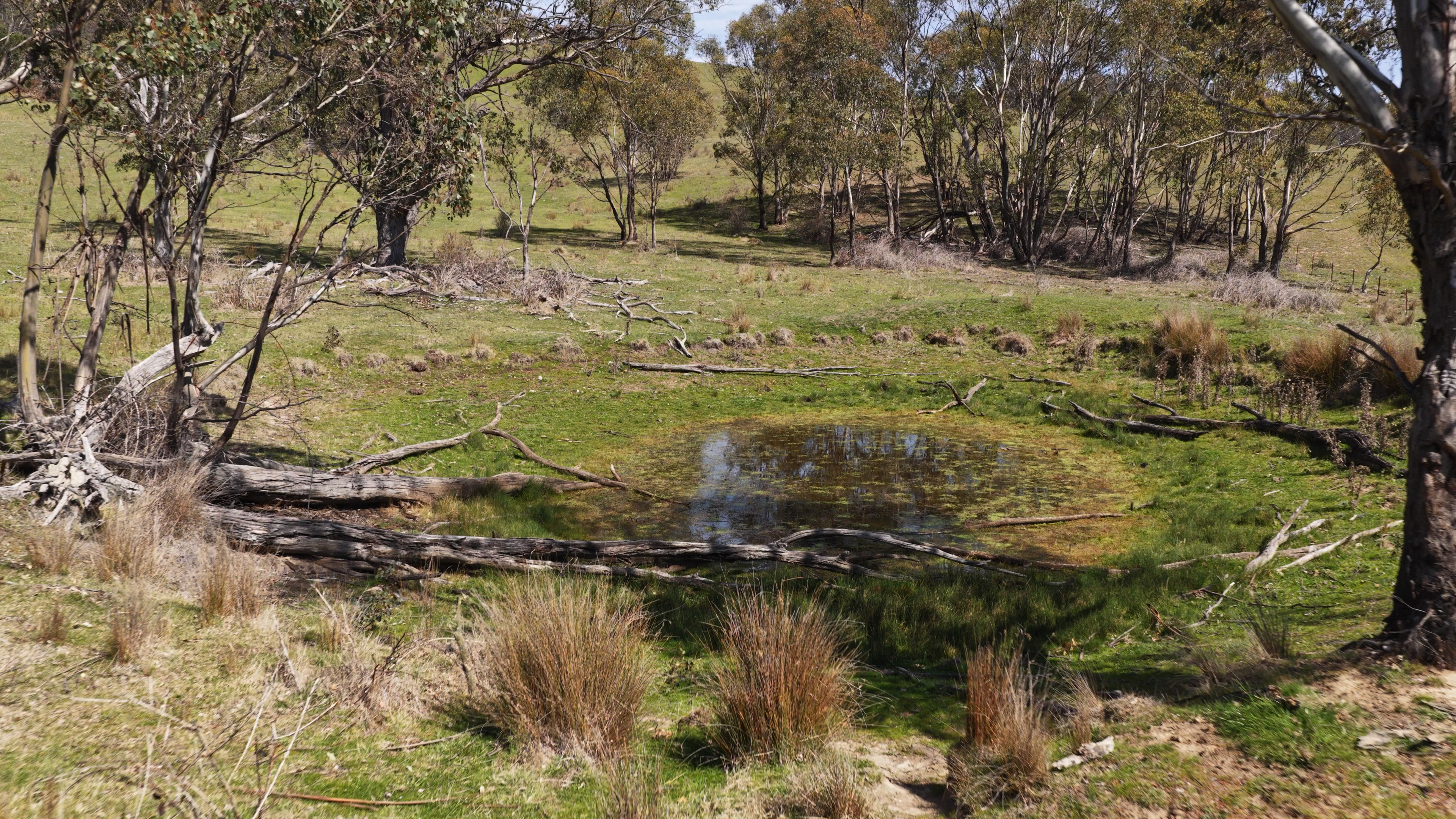 620 Bingo Tice Road, Anglers Rest For Sale by Farmbuy.com - image 14