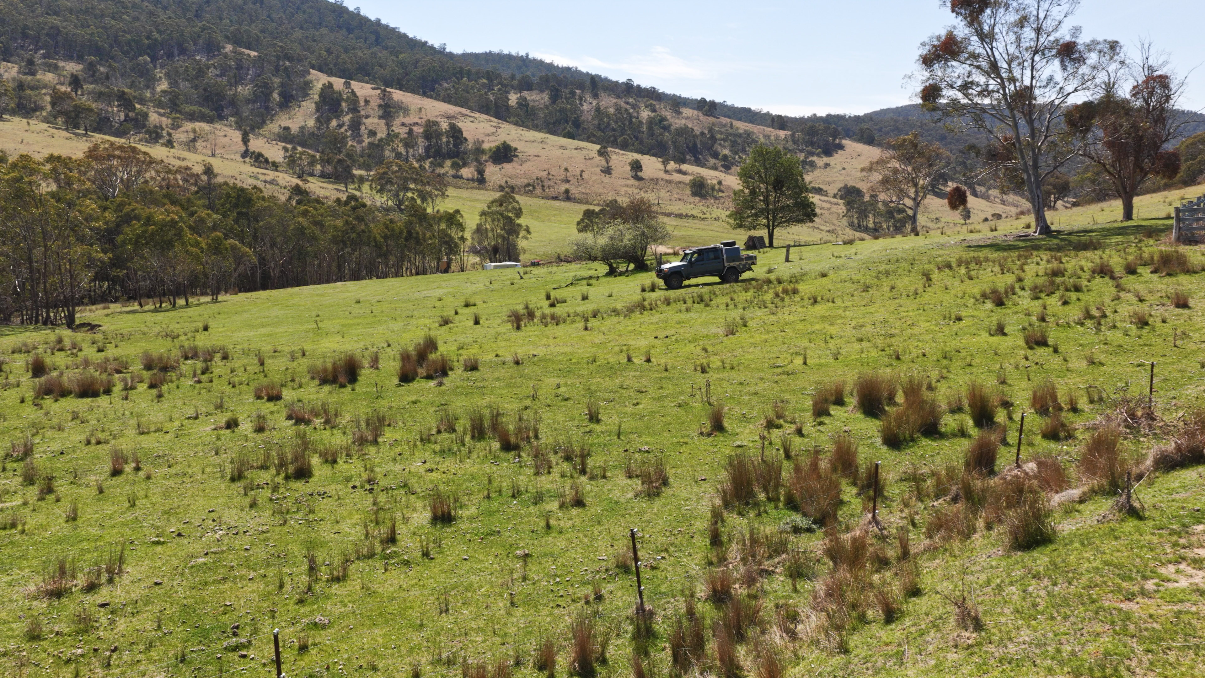 620 Bingo Tice Road, Anglers Rest For Sale by Farmbuy.com - image 15