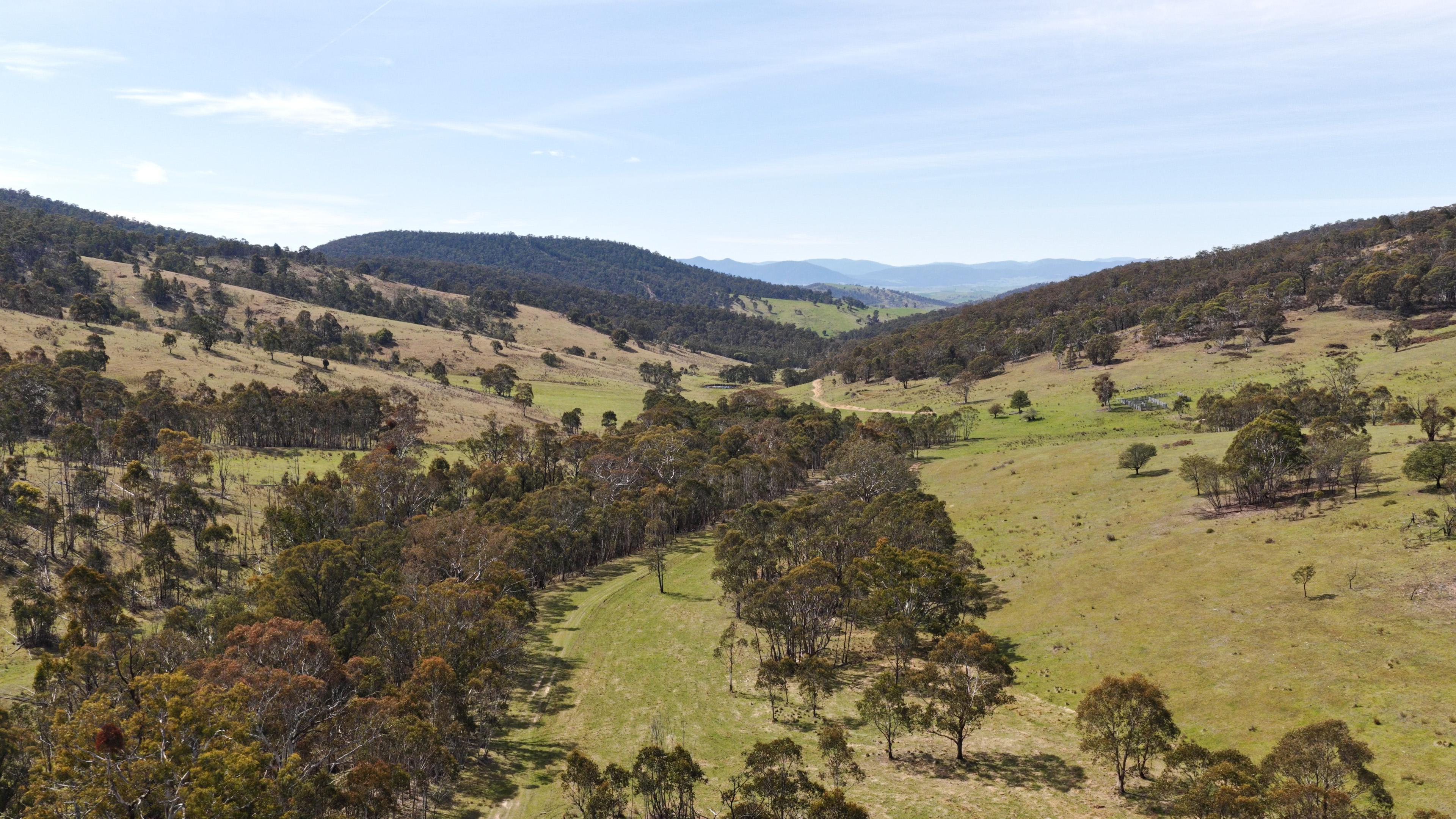 620 Bingo Tice Road, Anglers Rest For Sale by Farmbuy.com - image 13