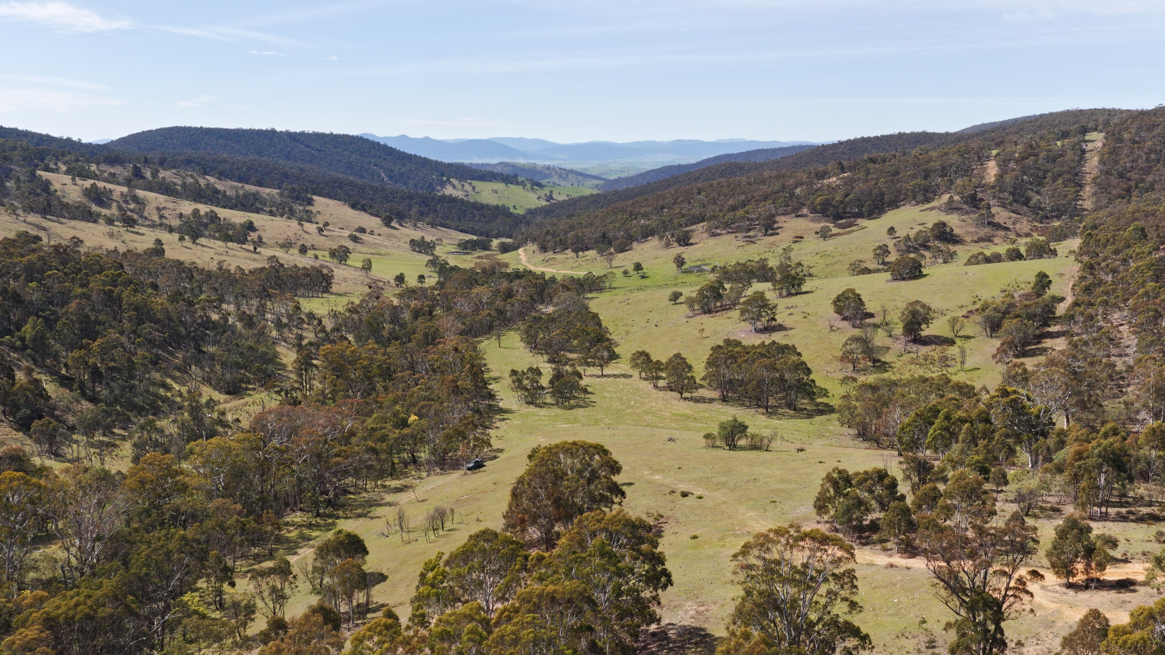 620 Bingo Tice Road, Anglers Rest For Sale by Farmbuy.com - image 11