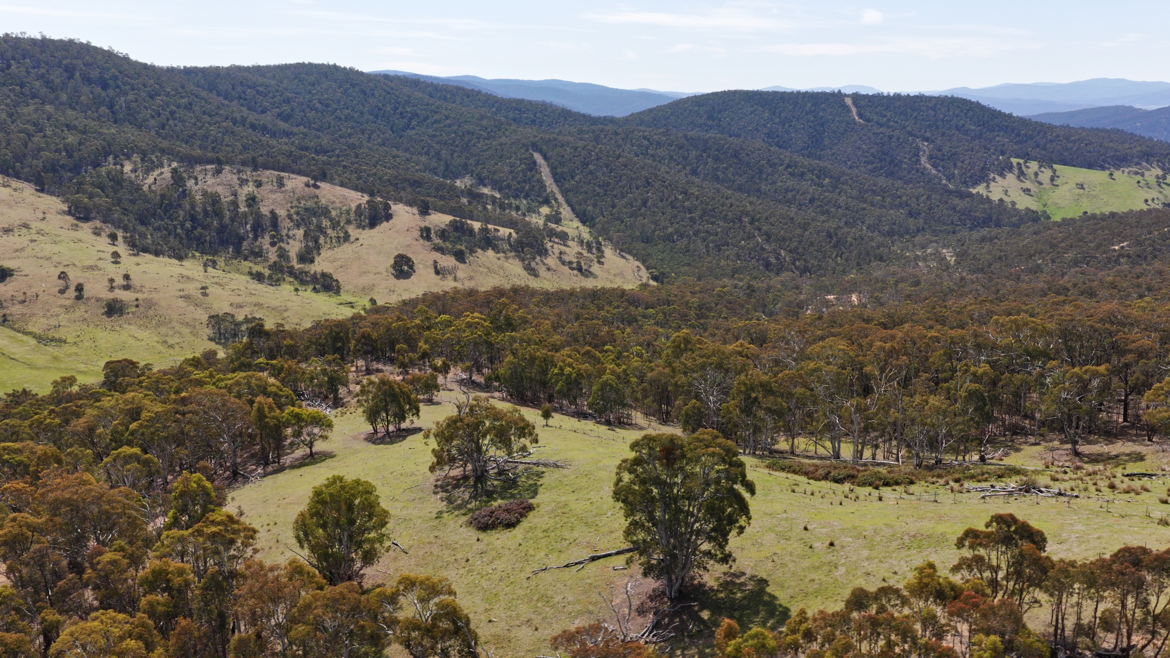 620 Bingo Tice Road, Anglers Rest For Sale by Farmbuy.com - image 12