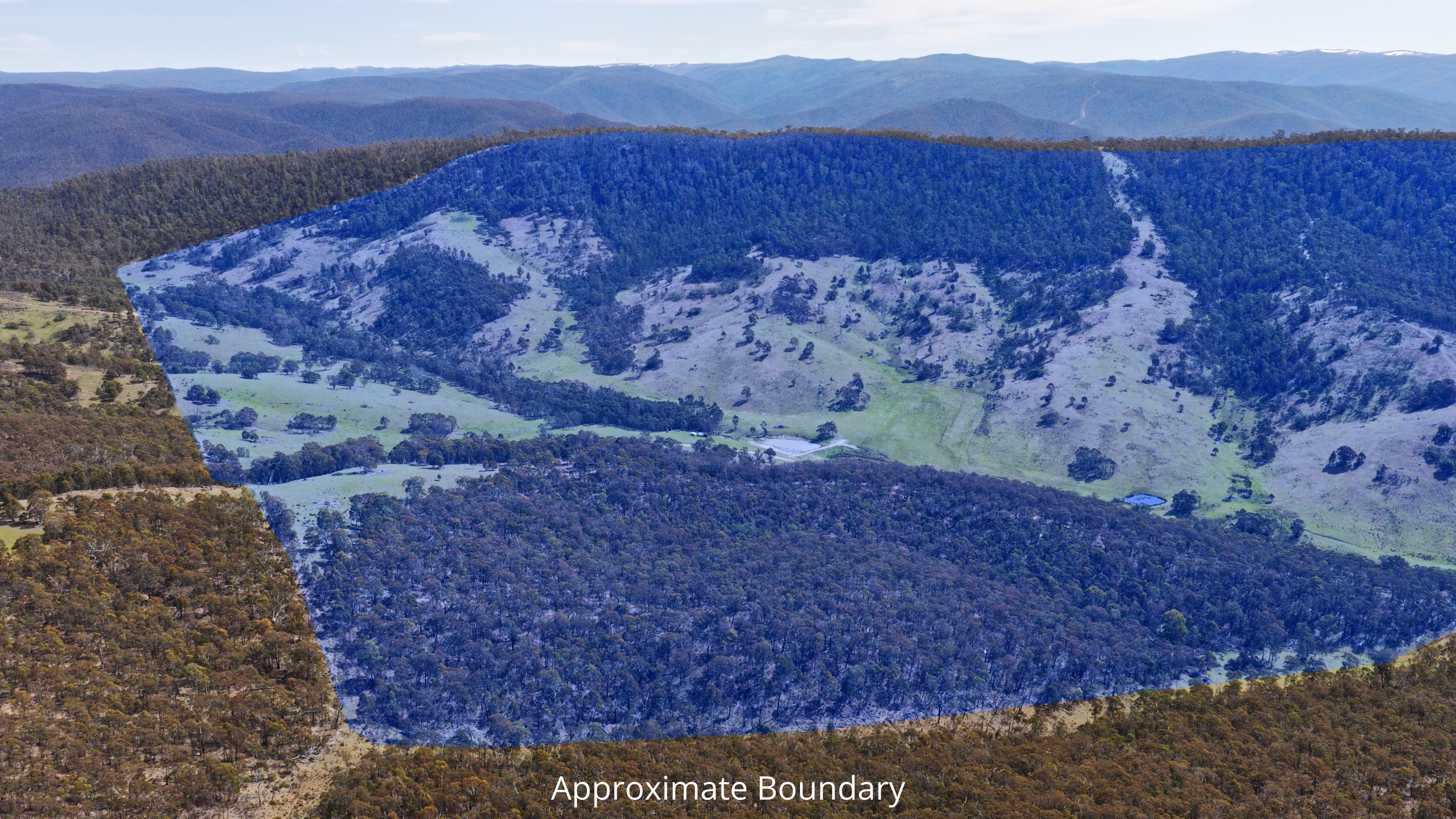 620 Bingo Tice Road, Anglers Rest For Sale by Farmbuy.com - image 4