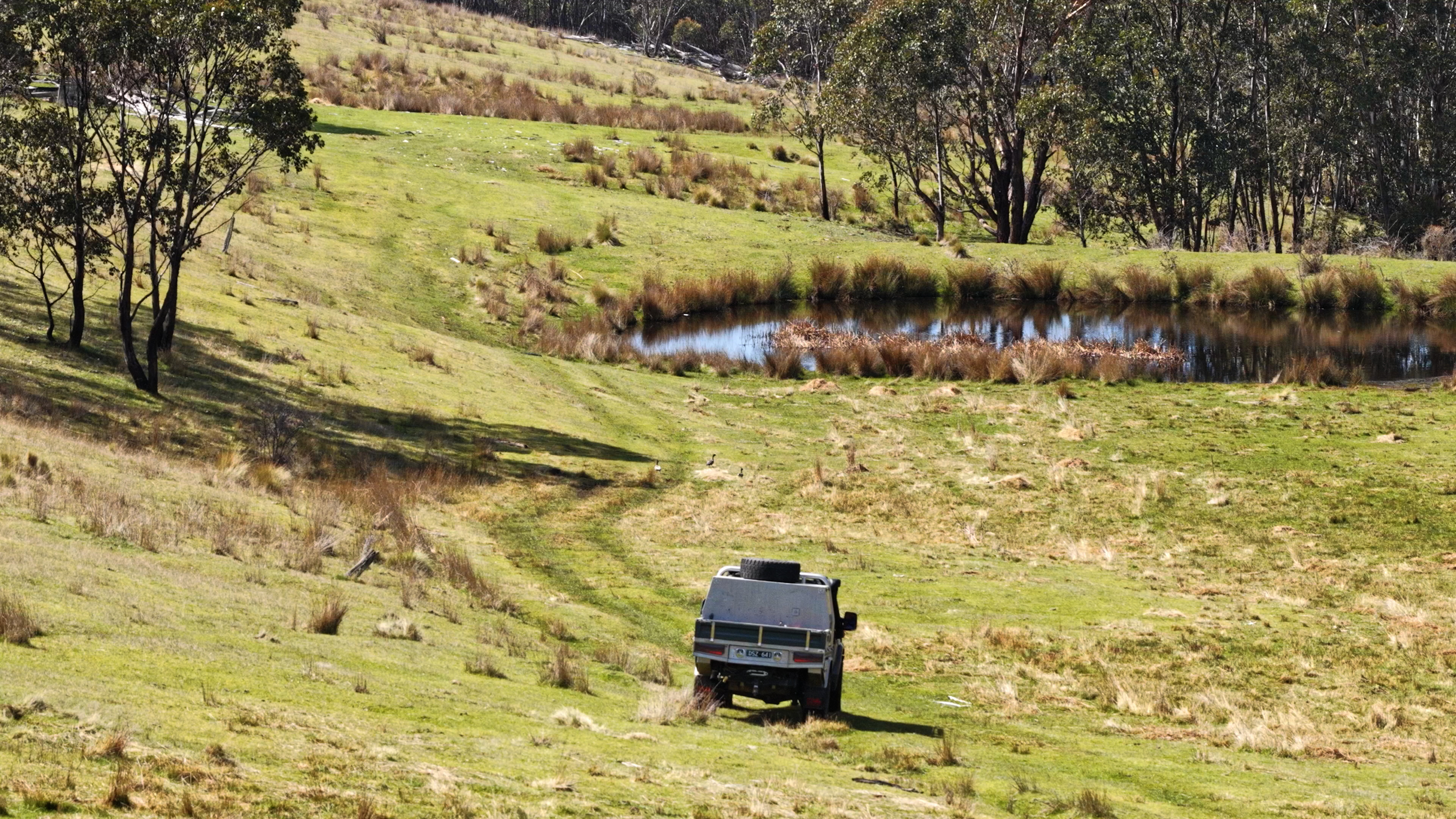 620 Bingo Tice Road, Anglers Rest For Sale by Farmbuy.com - image 10