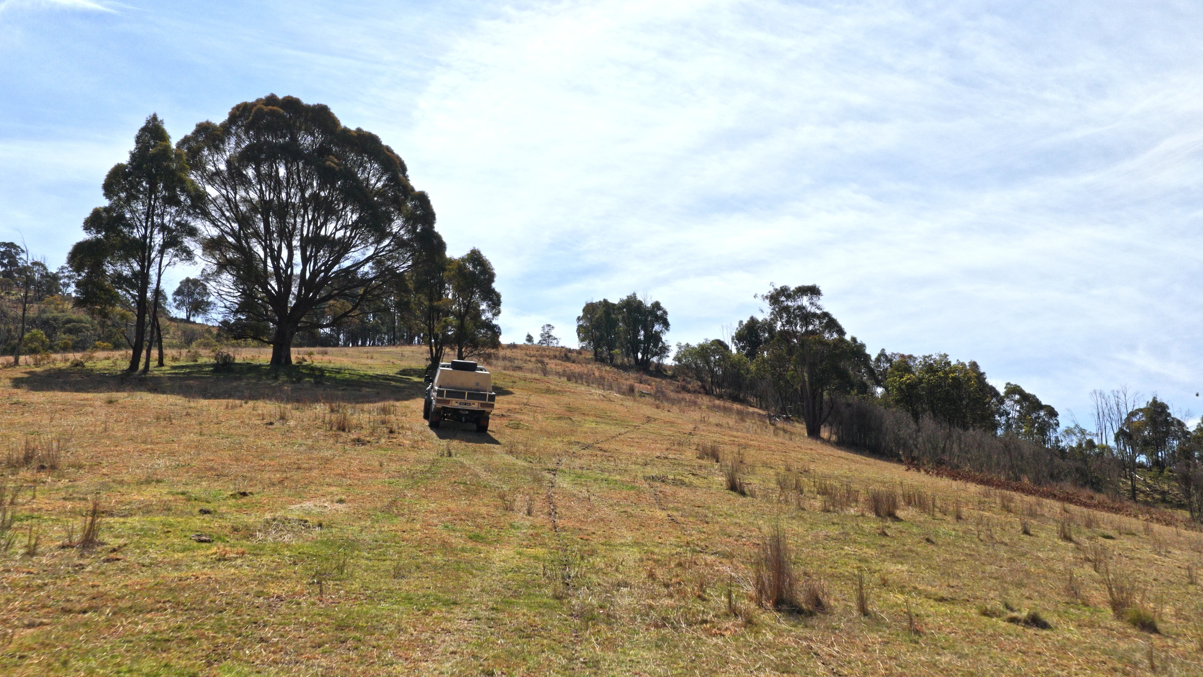 620 Bingo Tice Road, Anglers Rest For Sale by Farmbuy.com - image 20