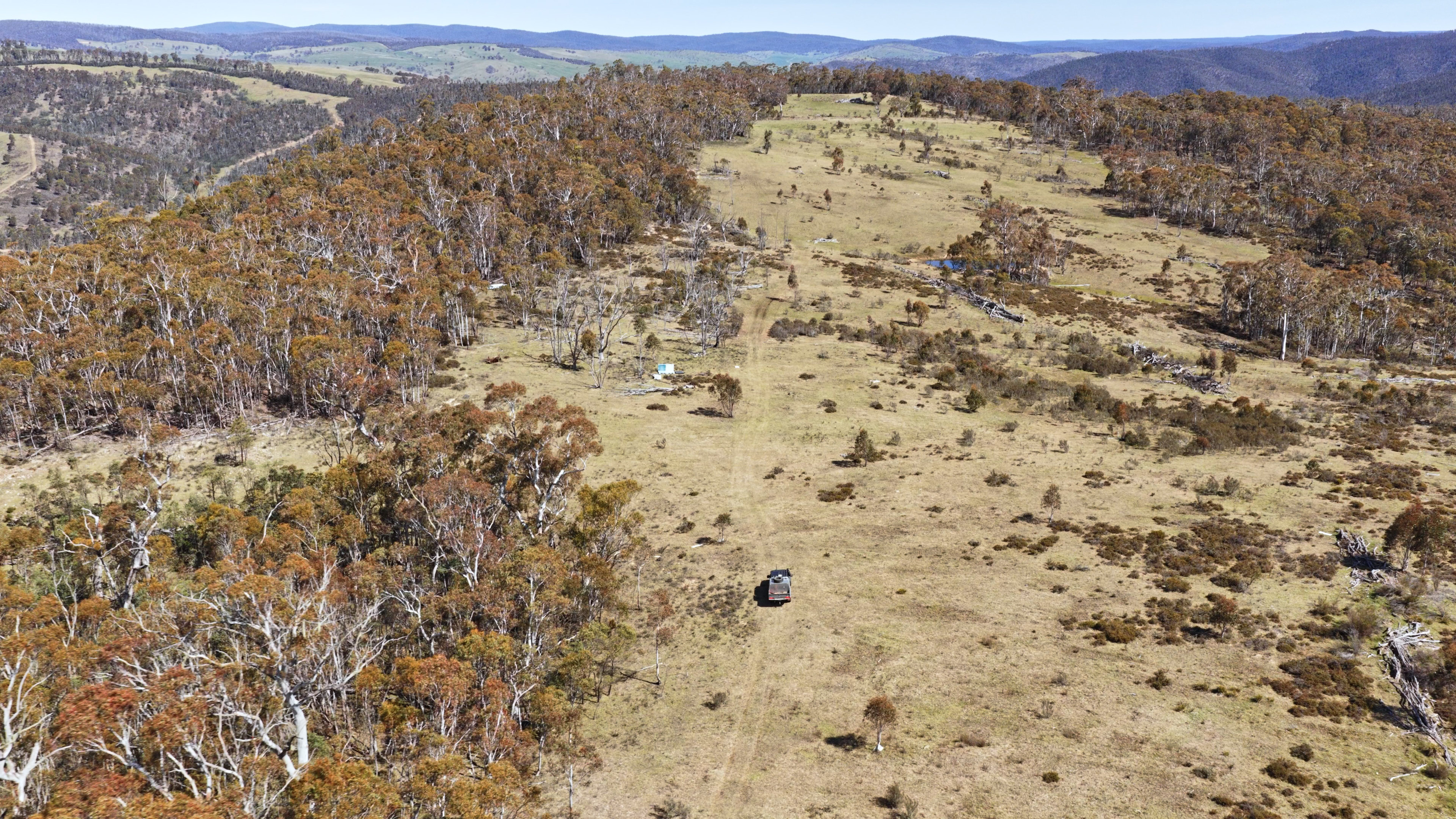 620 Bingo Tice Road, Anglers Rest For Sale by Farmbuy.com - image 23