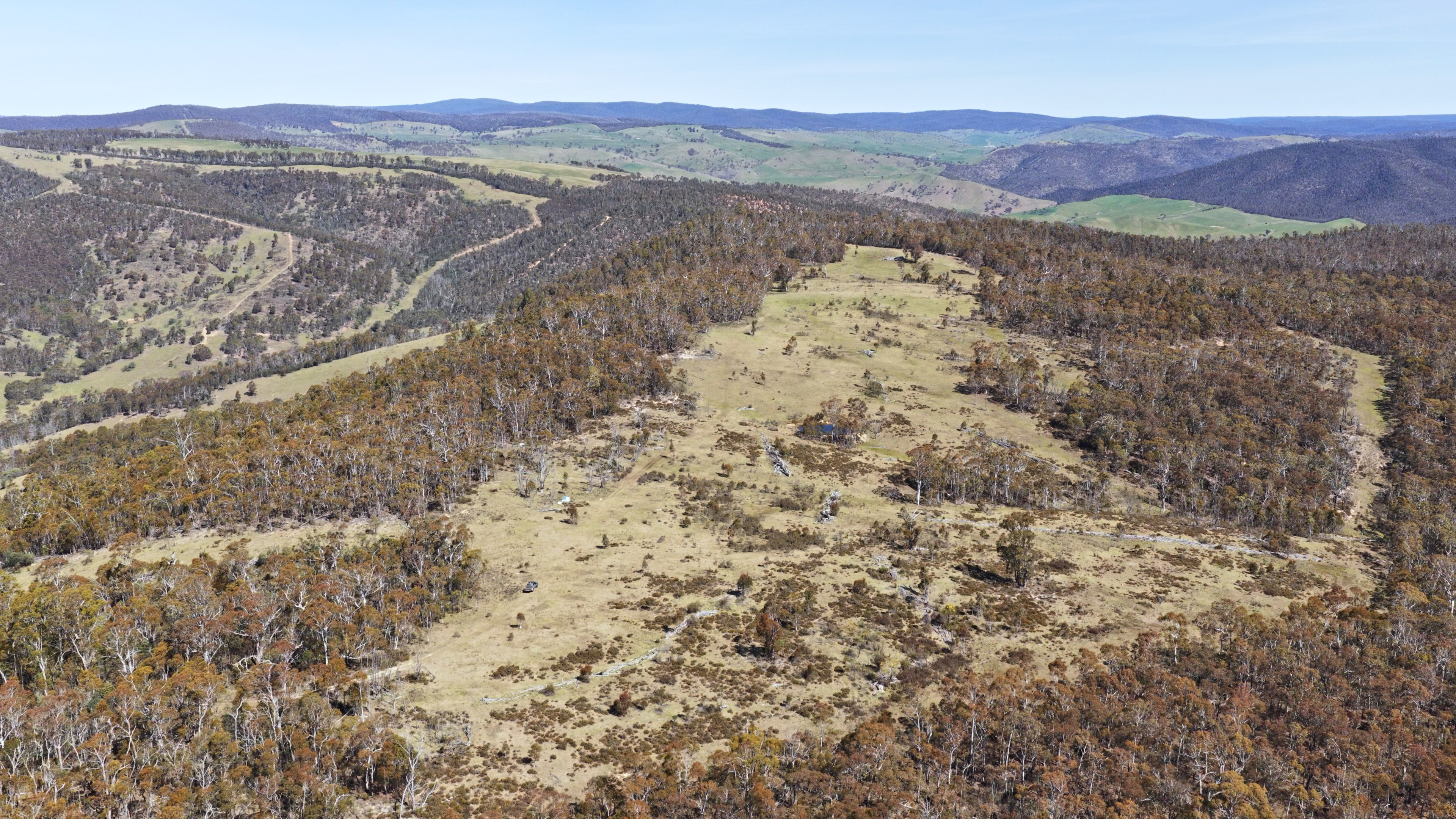 620 Bingo Tice Road, Anglers Rest For Sale by Farmbuy.com - image 22