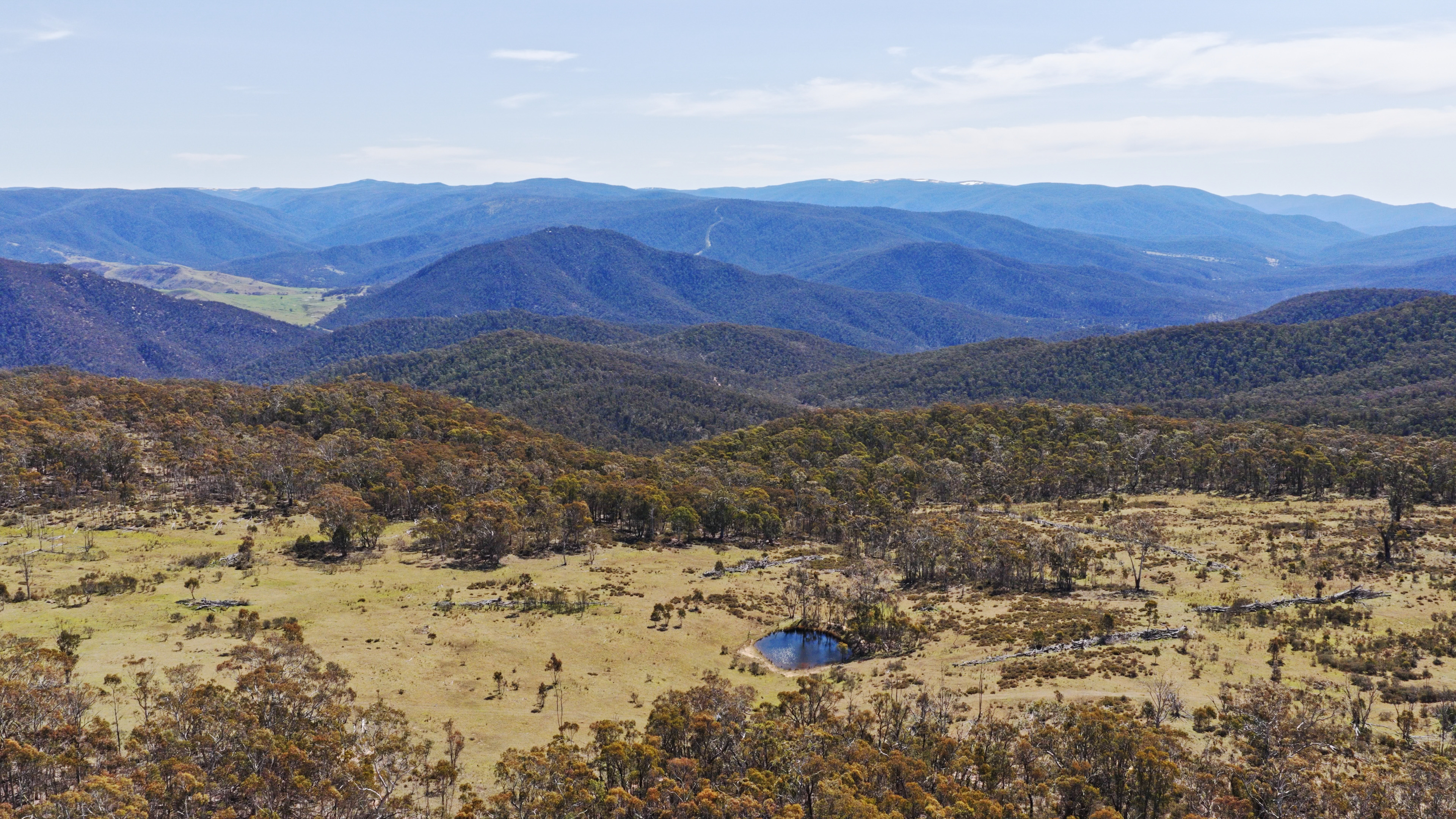 620 Bingo Tice Road, Anglers Rest For Sale by Farmbuy.com - image 24