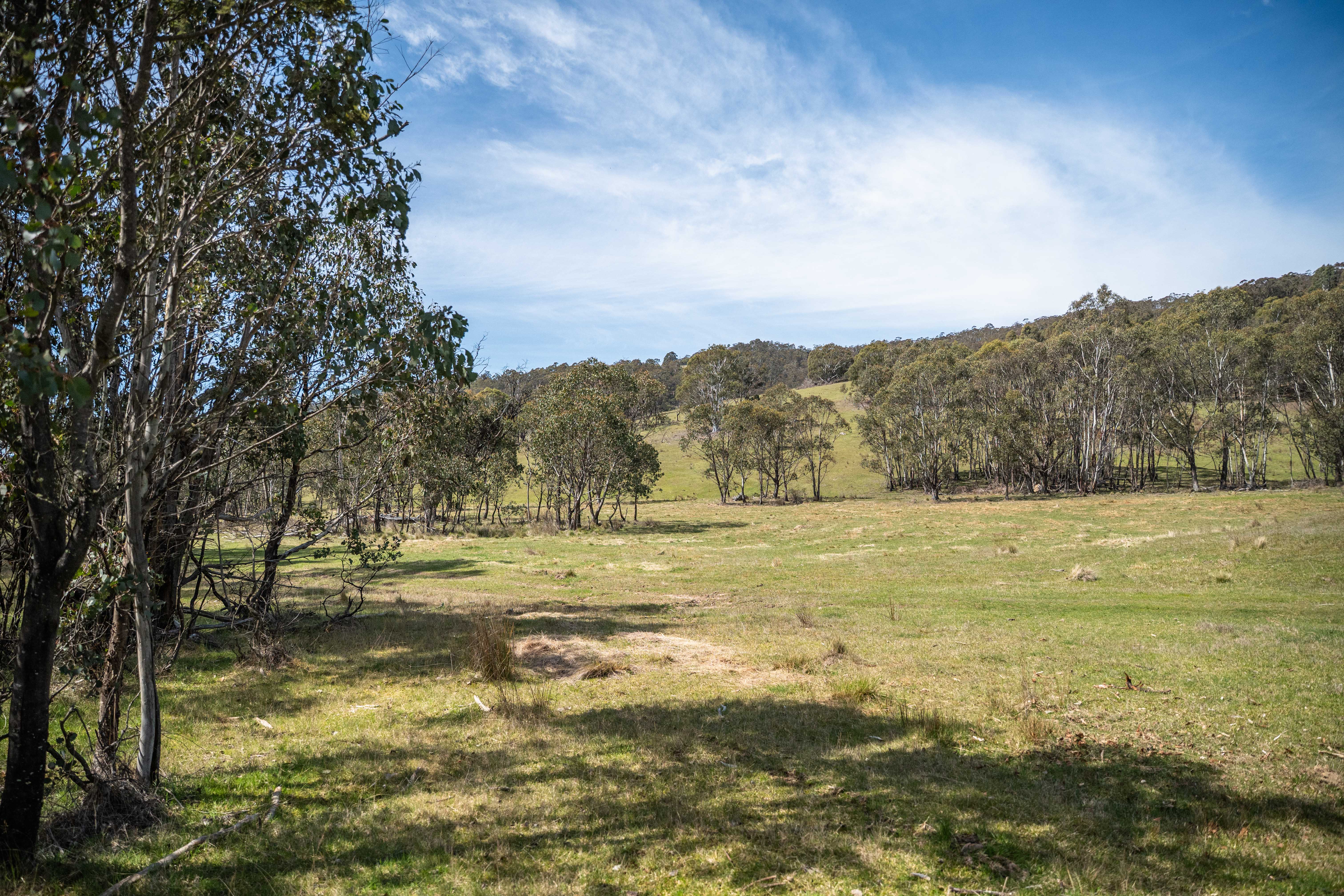 620 Bingo Tice Road, Anglers Rest For Sale by Farmbuy.com - image 16