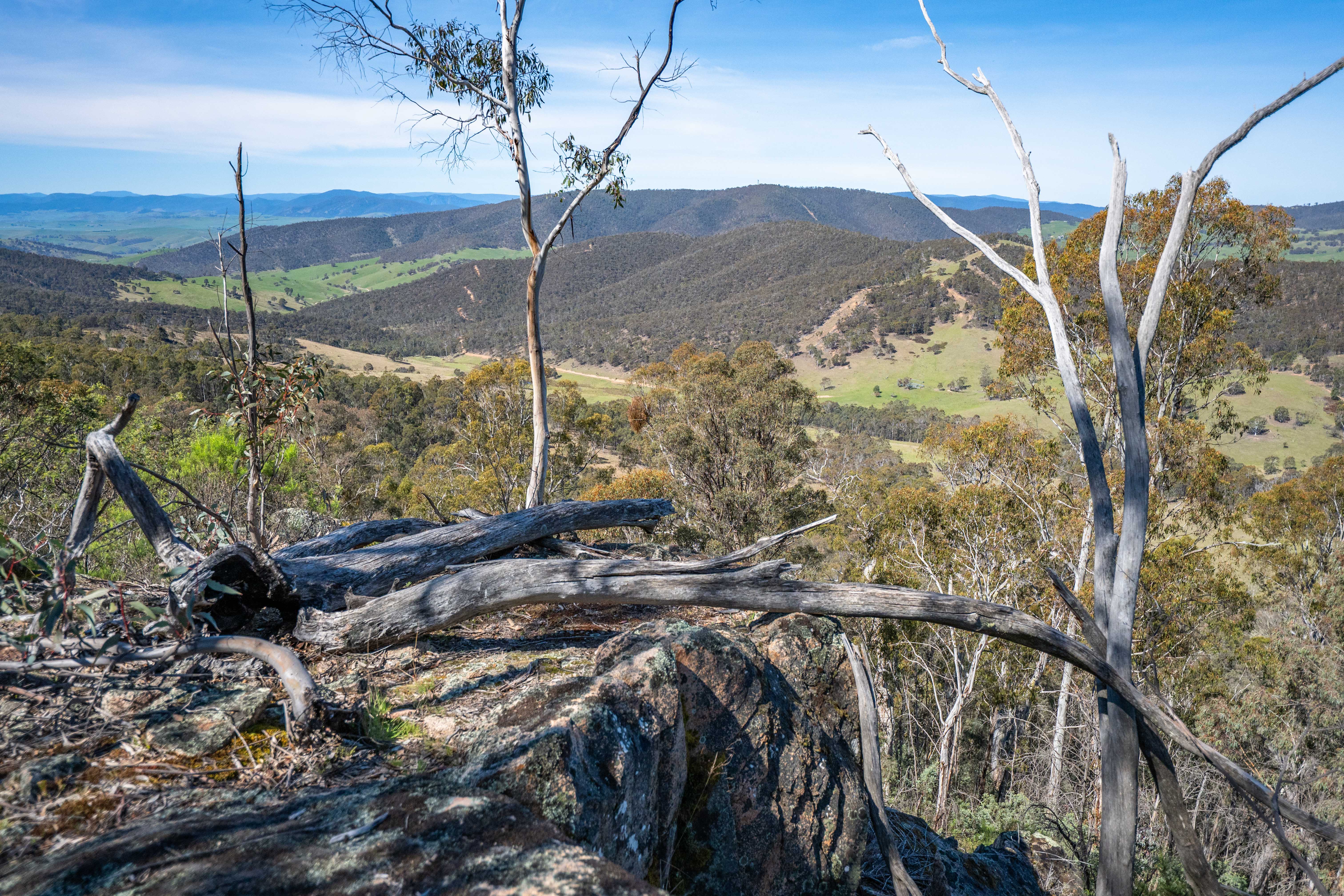 620 Bingo Tice Road, Anglers Rest For Sale by Farmbuy.com - image 21