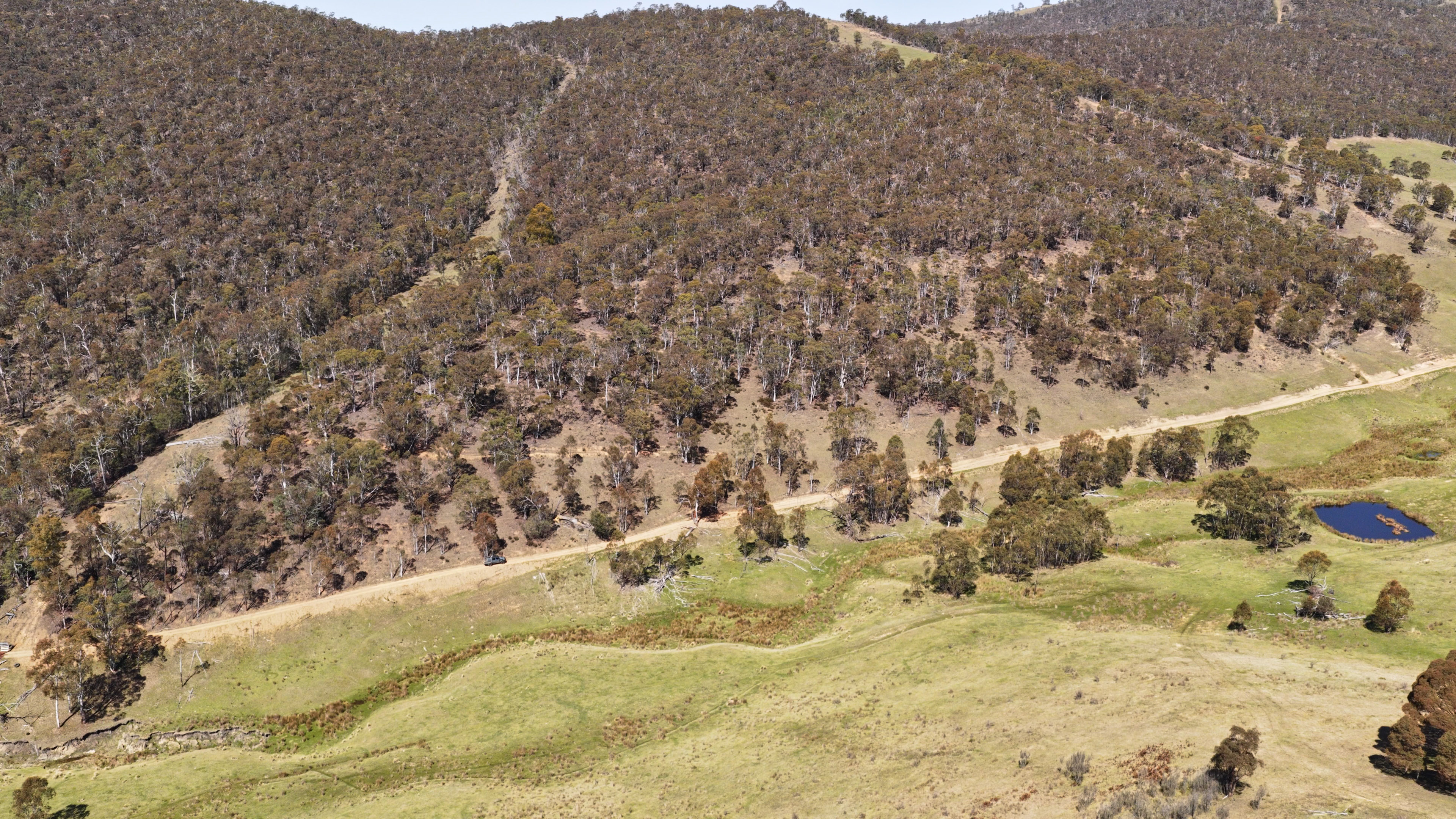 620 Bingo Tice Road, Anglers Rest For Sale by Farmbuy.com - image 35