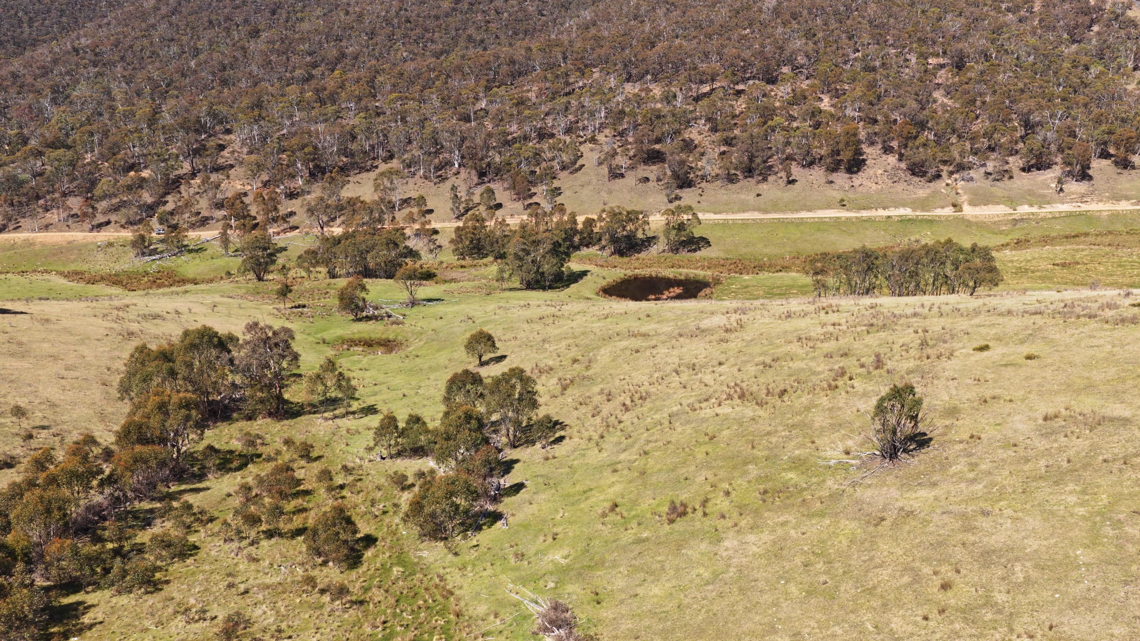 620 Bingo Tice Road, Anglers Rest For Sale by Farmbuy.com - image 2