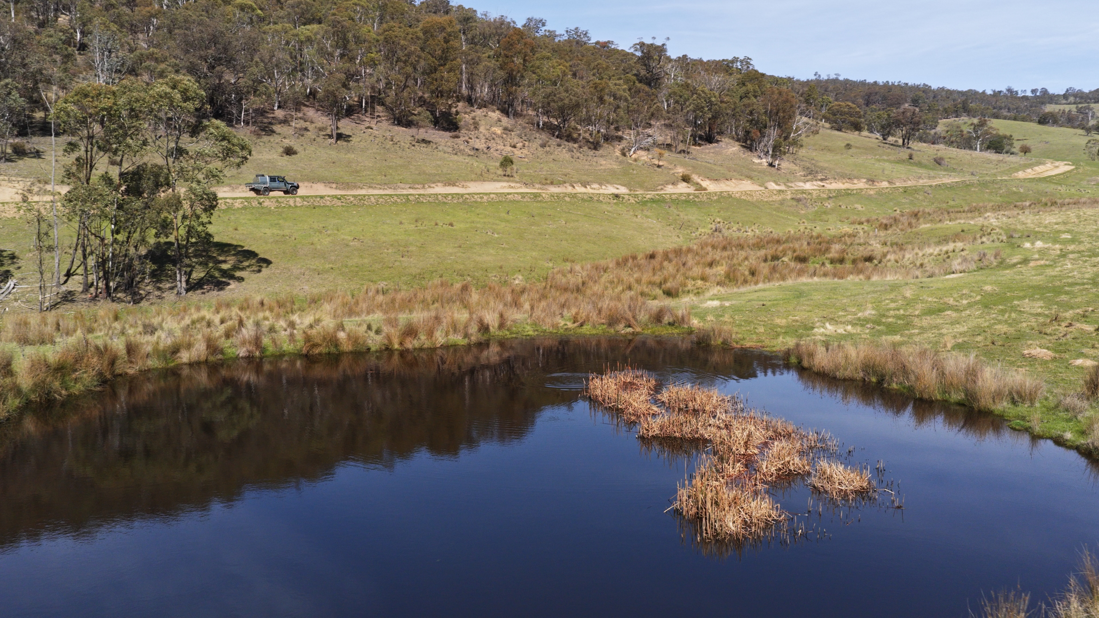 620 Bingo Tice Road, Anglers Rest For Sale by Farmbuy.com - image 3