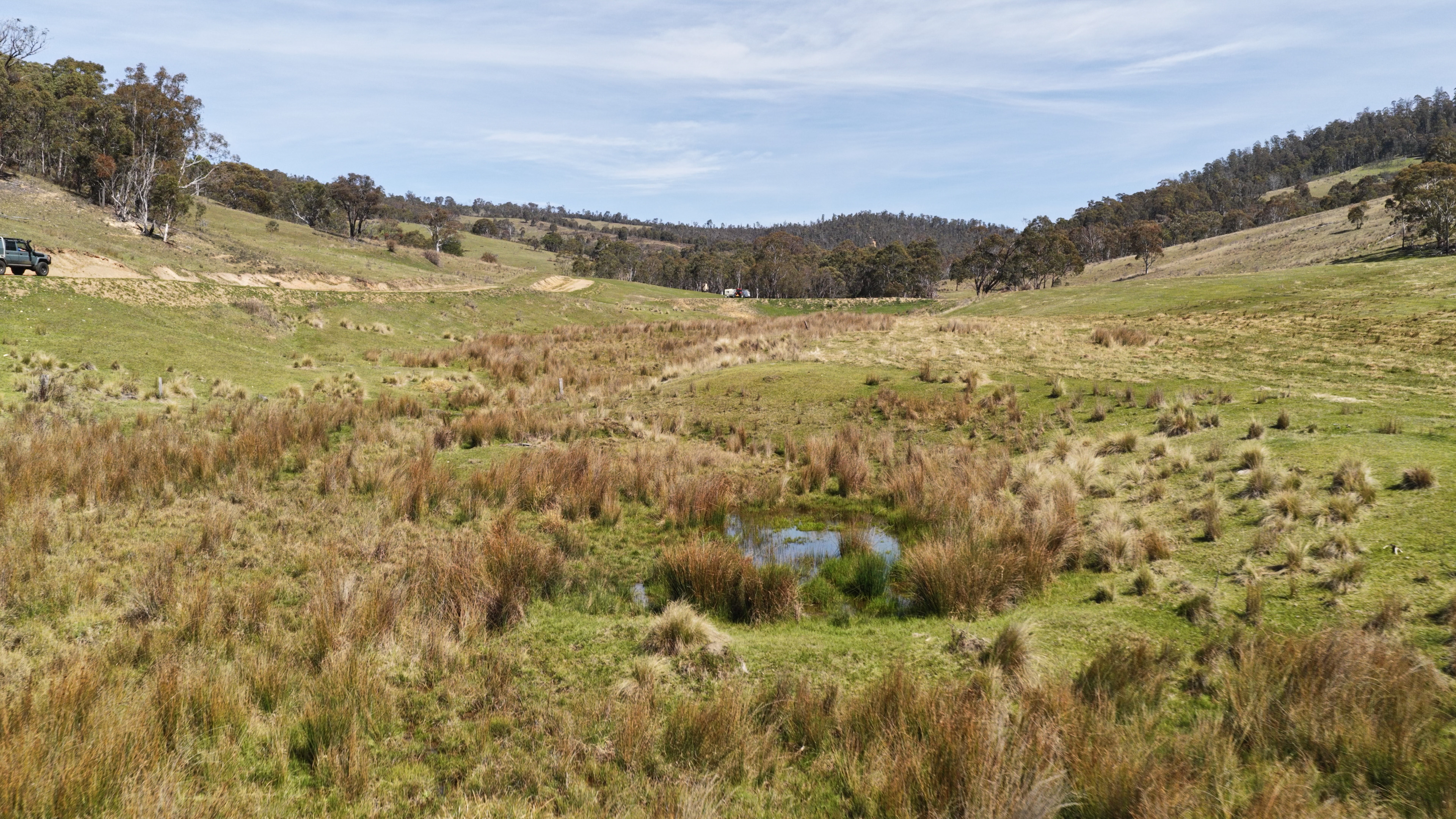 620 Bingo Tice Road, Anglers Rest For Sale by Farmbuy.com - image 5