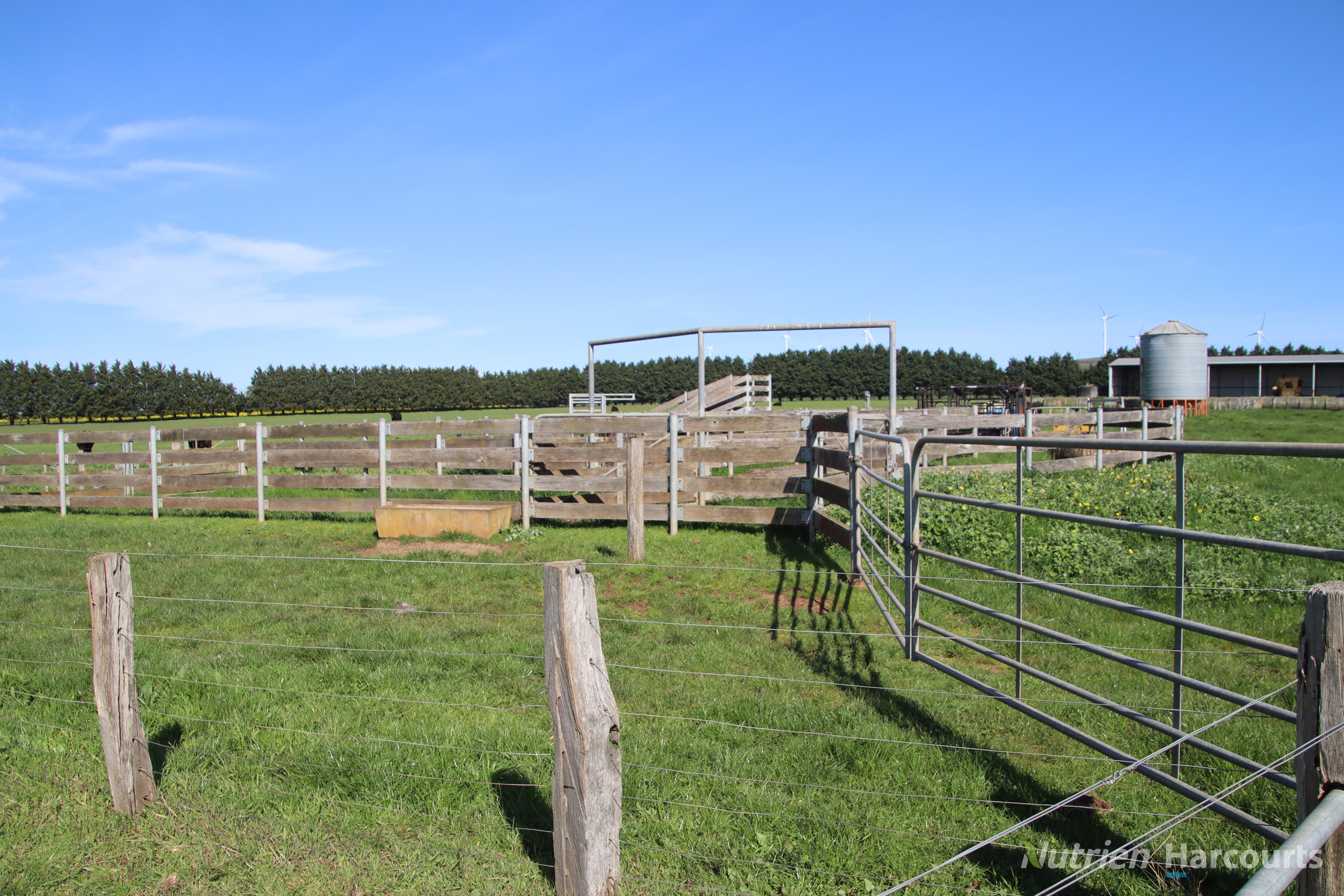 237 Edmonston Road, Addington Tender by Farmbuy.com - image 21