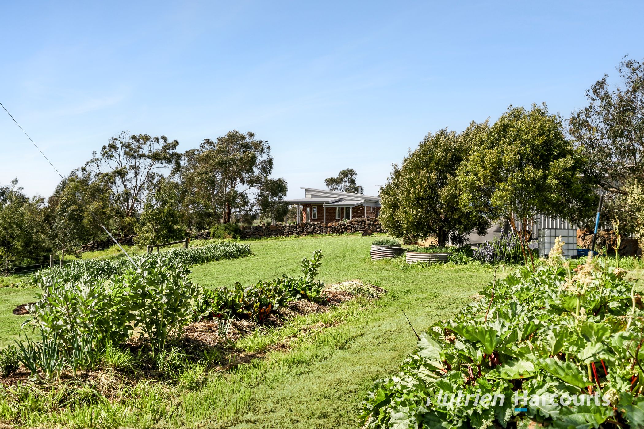 78 Smiths Road, Tandarook For Sale by Farmbuy.com - image 3