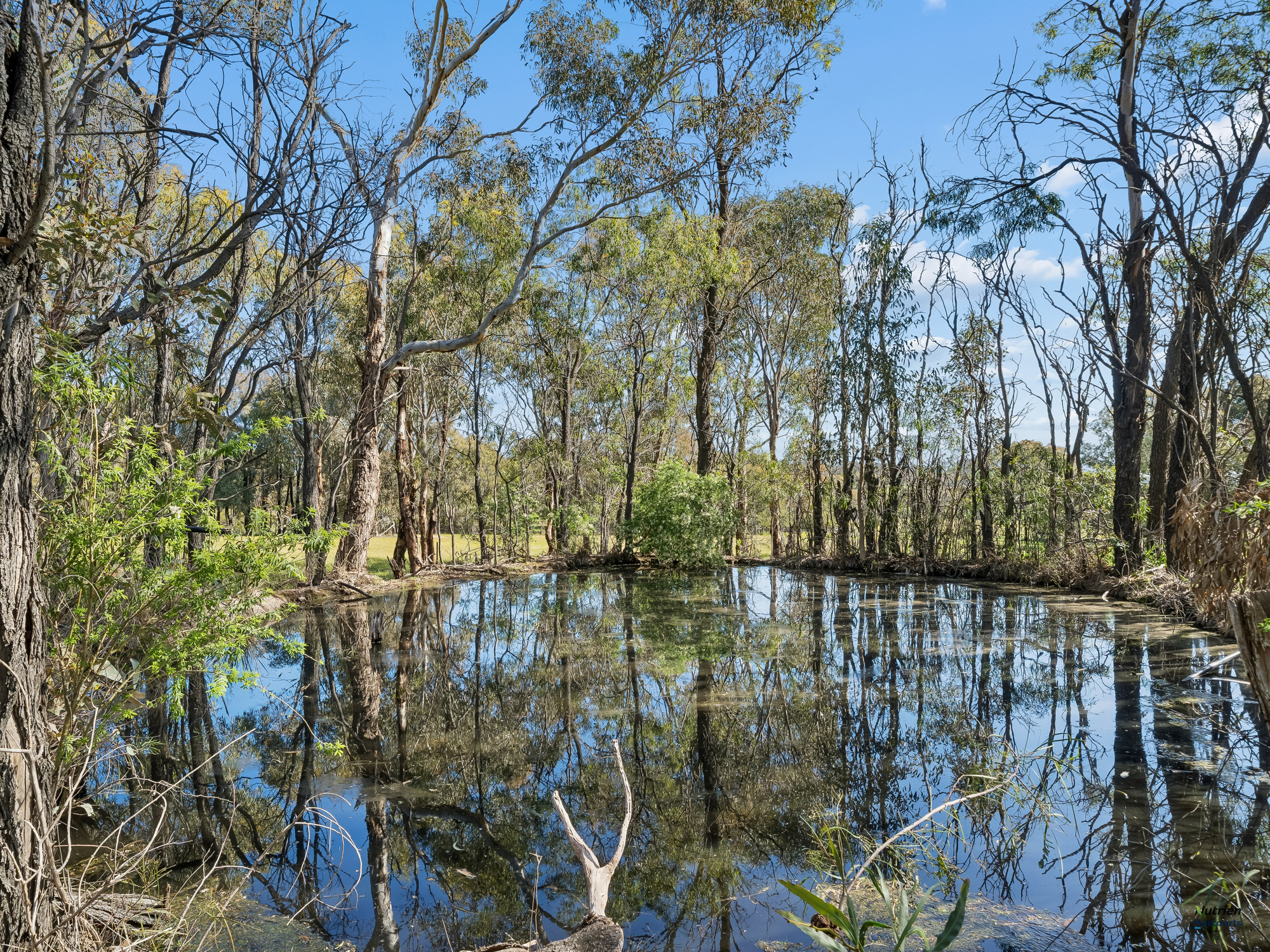 1924 Benalla Yarrawonga Road, Bungeet West For Sale by Farmbuy.com - image 17