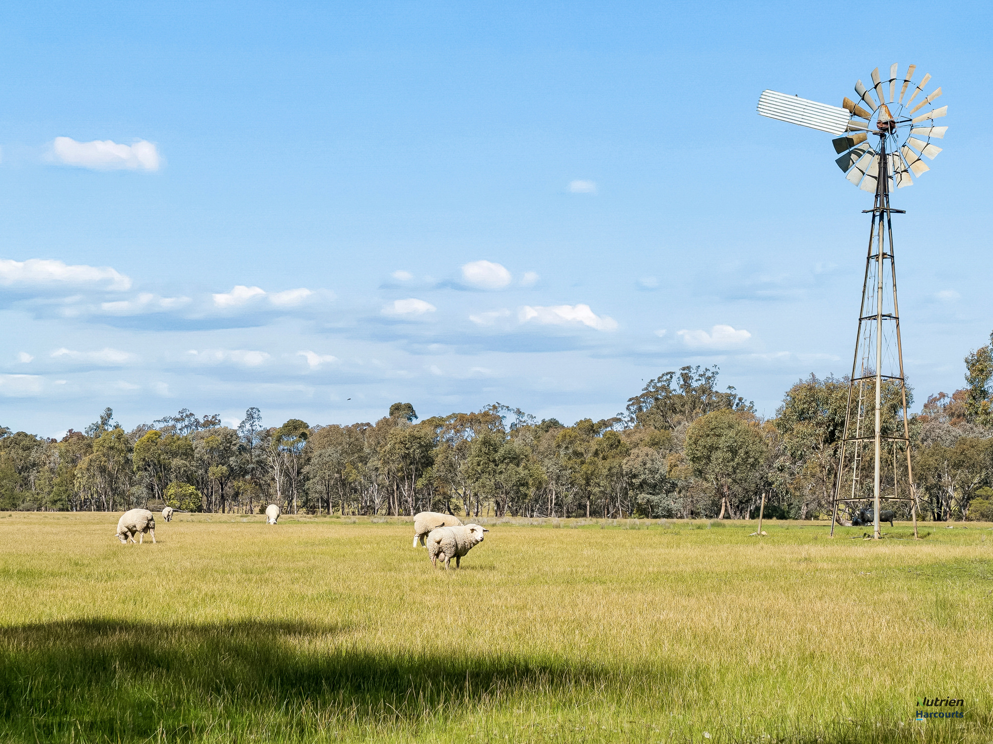 1924 Benalla Yarrawonga Road, Bungeet West For Sale by Farmbuy.com - image 16