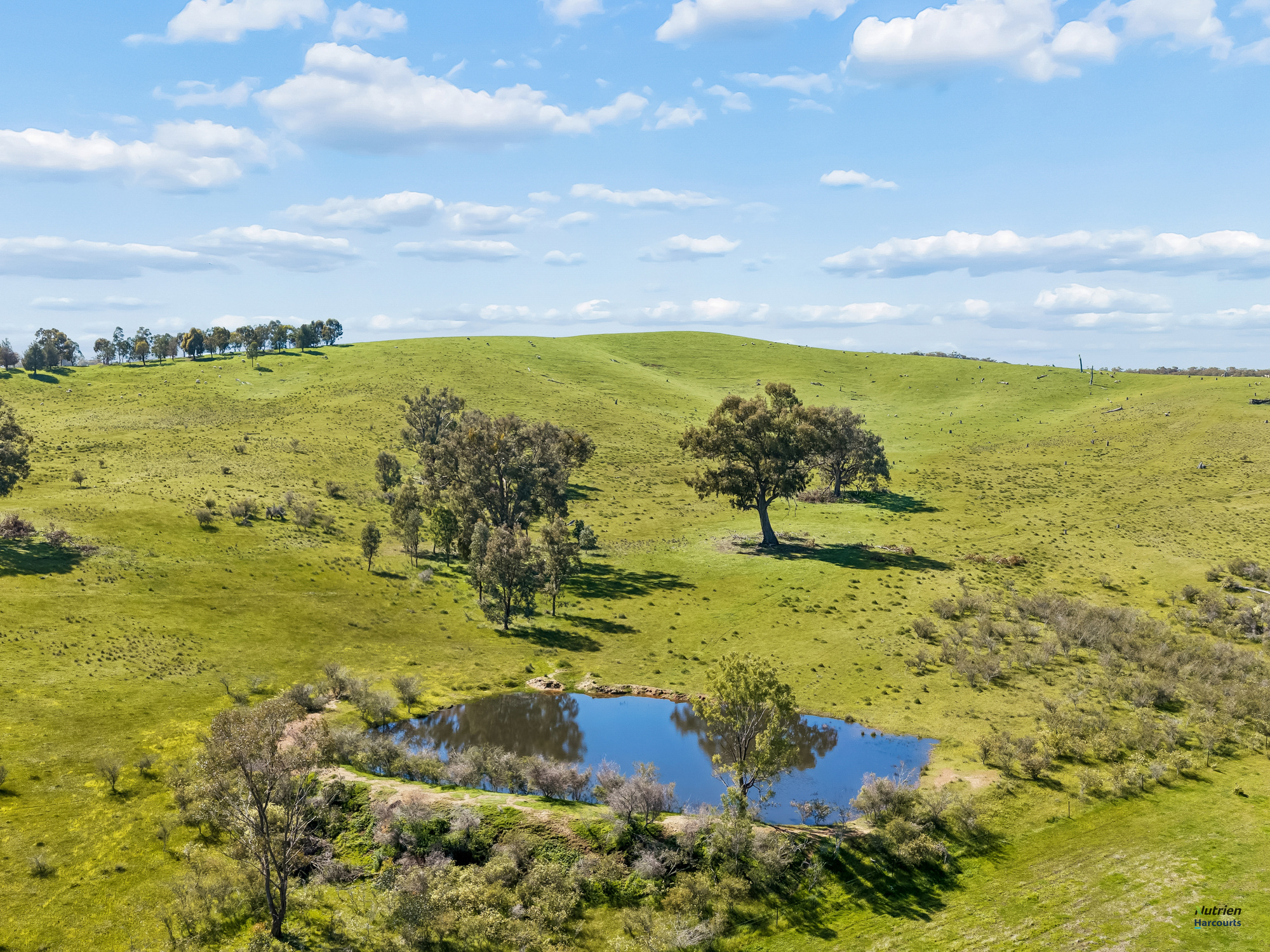 1924 Benalla Yarrawonga Road, Bungeet West For Sale by Farmbuy.com - image 20