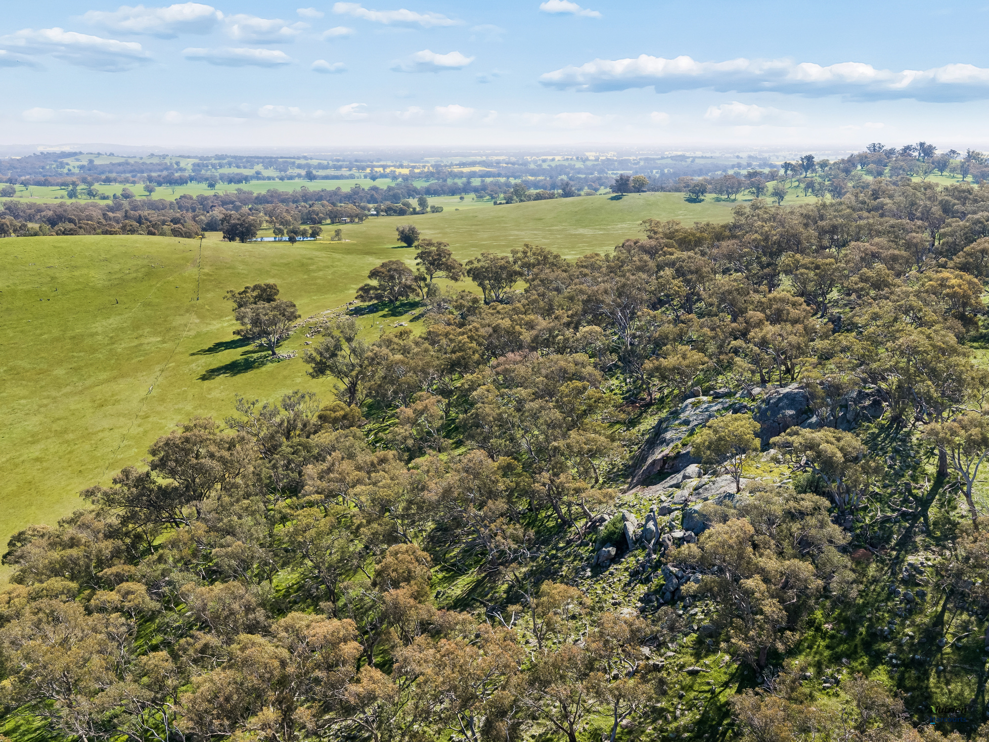 1924 Benalla Yarrawonga Road, Bungeet West For Sale by Farmbuy.com - image 22