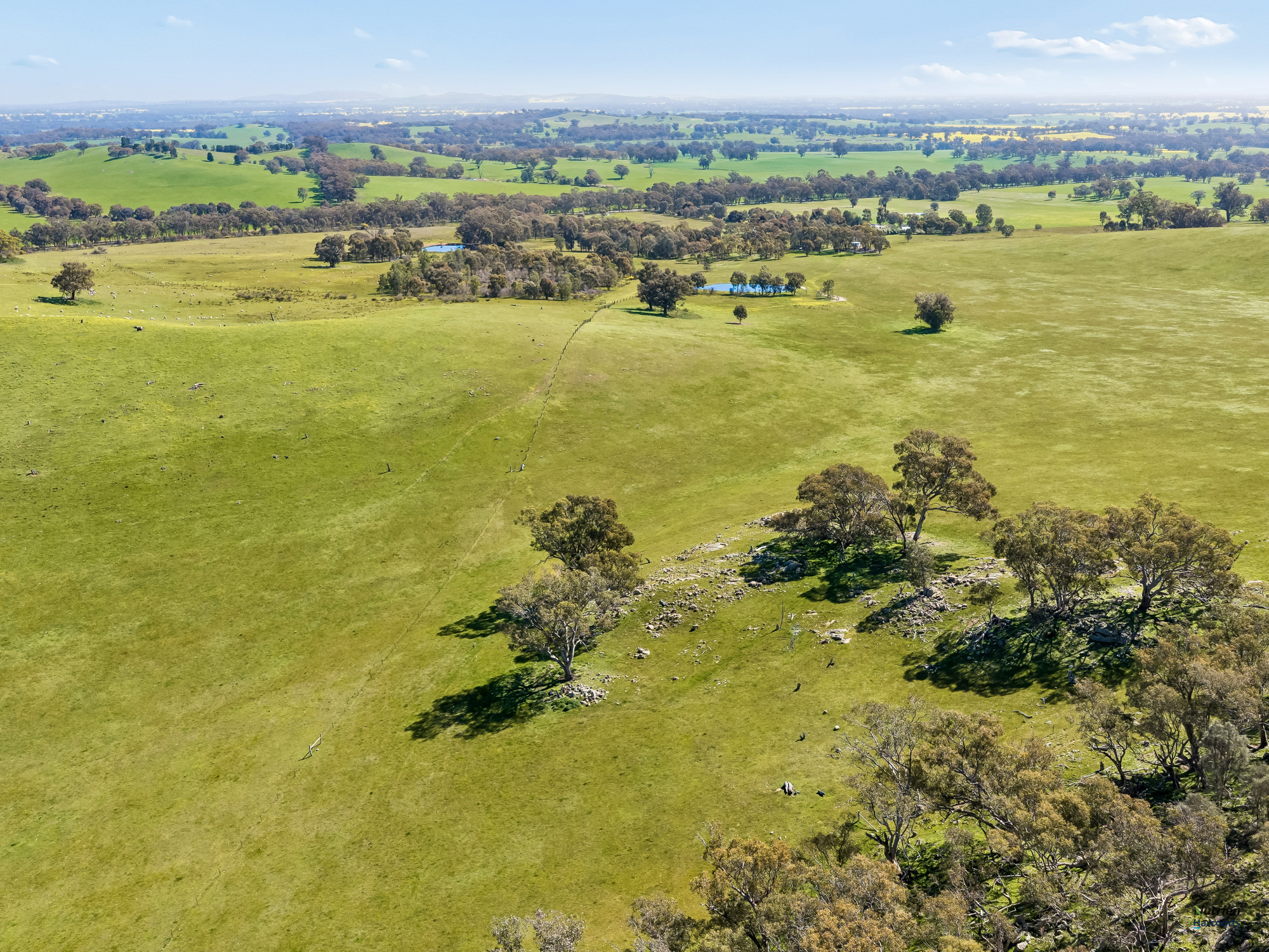 1924 Benalla Yarrawonga Road, Bungeet West For Sale by Farmbuy.com - image 23