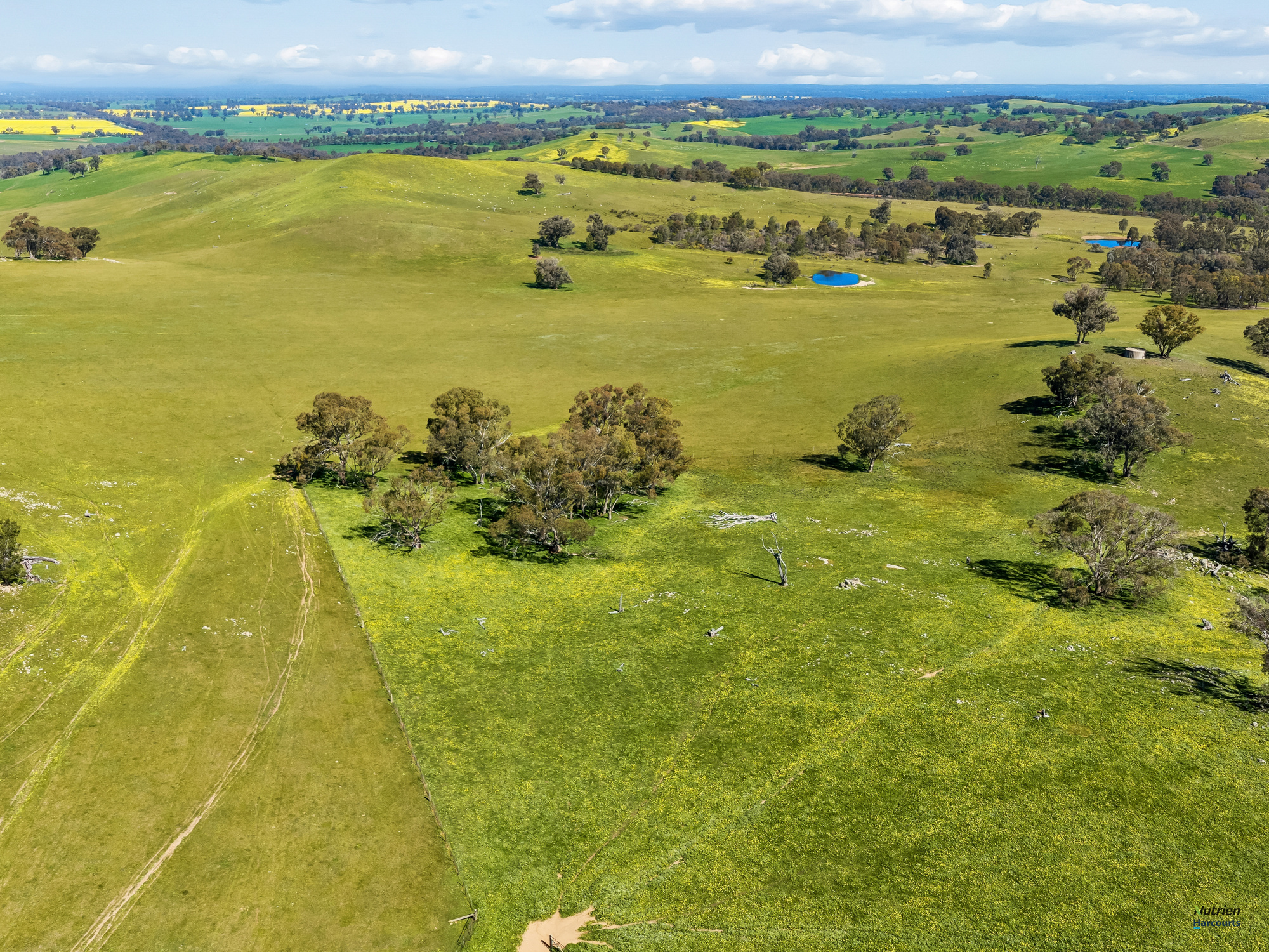 1924 Benalla Yarrawonga Road, Bungeet West For Sale by Farmbuy.com - image 24