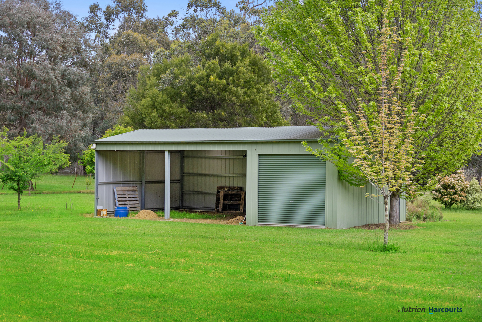 1899 Maroondah Highway, Buxton For Sale by Farmbuy.com - image 21