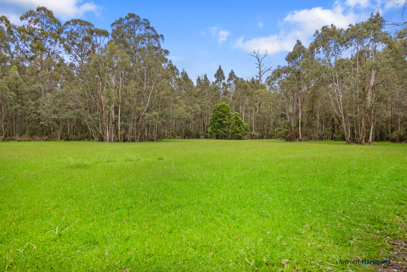 1899 Maroondah Highway, Buxton For Sale by Farmbuy.com - image 23