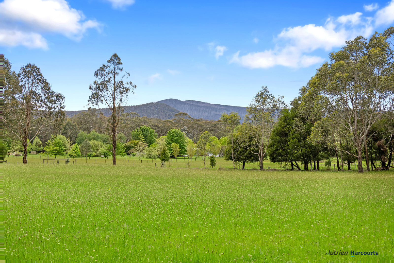 1899 Maroondah Highway, Buxton For Sale by Farmbuy.com - image 20