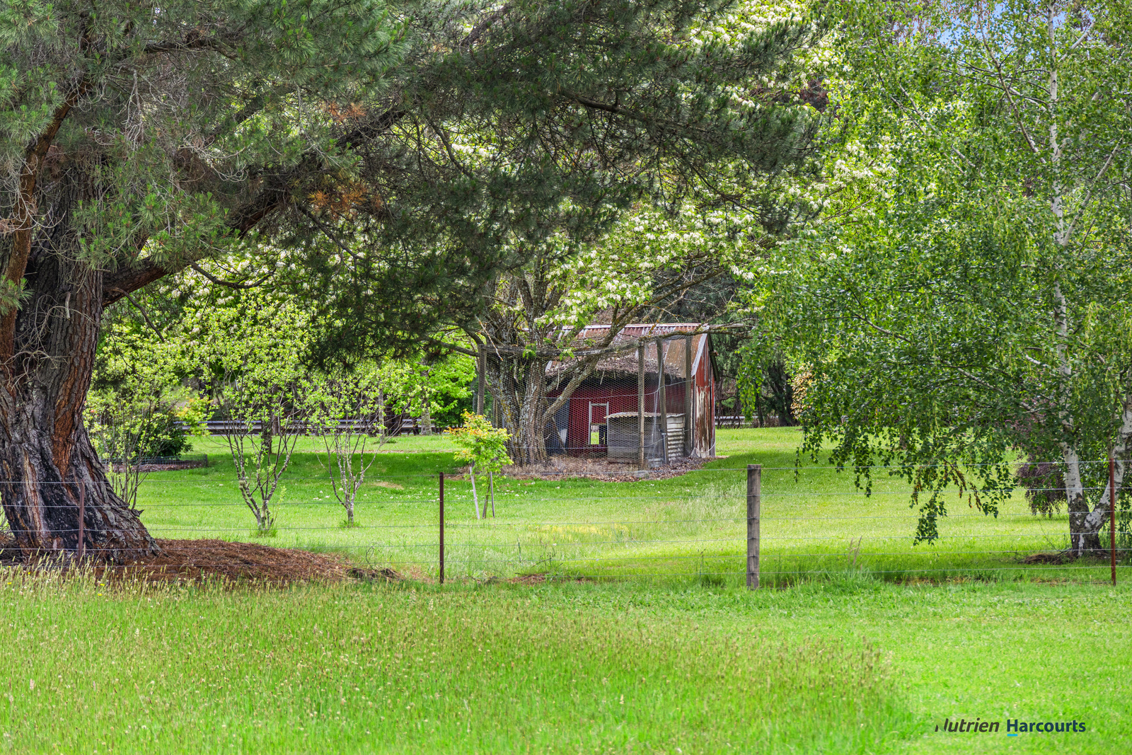 1899 Maroondah Highway, Buxton For Sale by Farmbuy.com - image 24