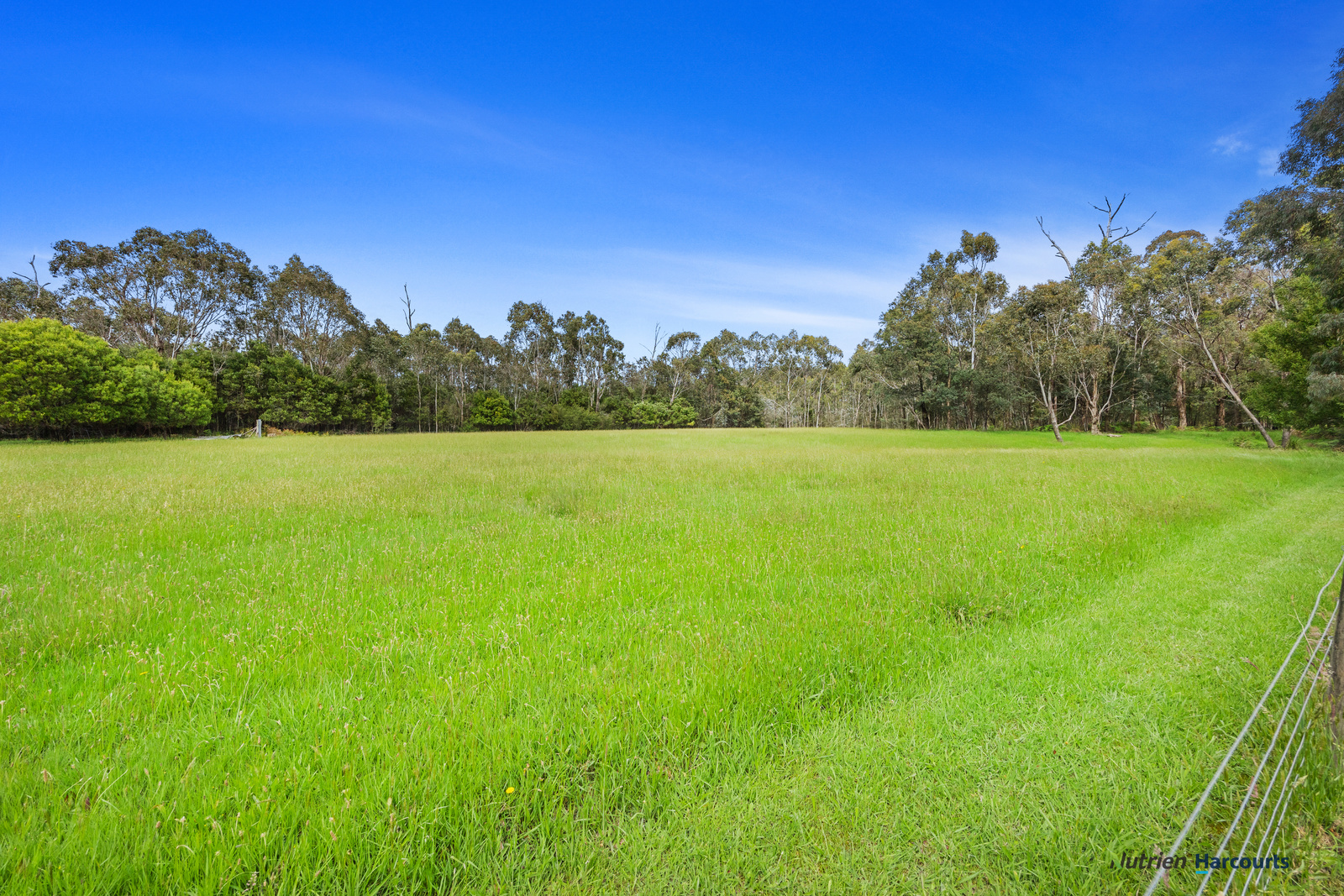 1899 Maroondah Highway, Buxton For Sale by Farmbuy.com - image 25