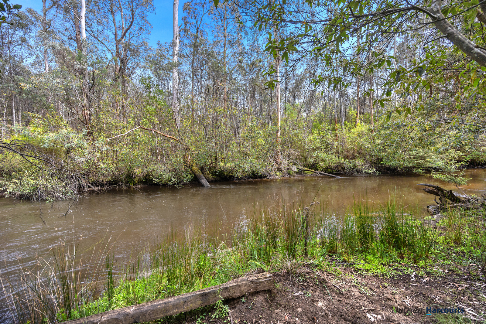 1899 Maroondah Highway, Buxton For Sale by Farmbuy.com - image 26