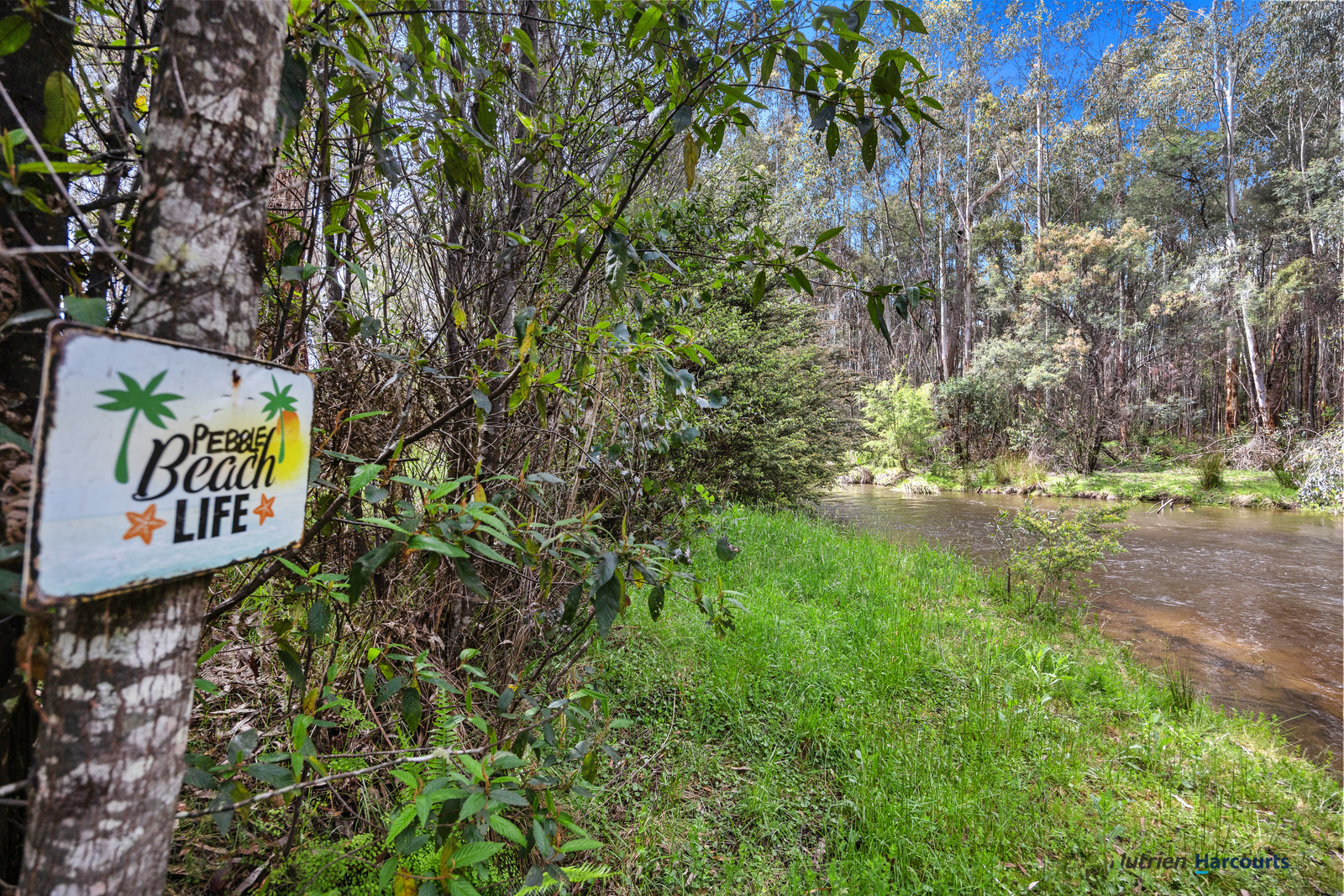 1899 Maroondah Highway, Buxton For Sale by Farmbuy.com - image 28