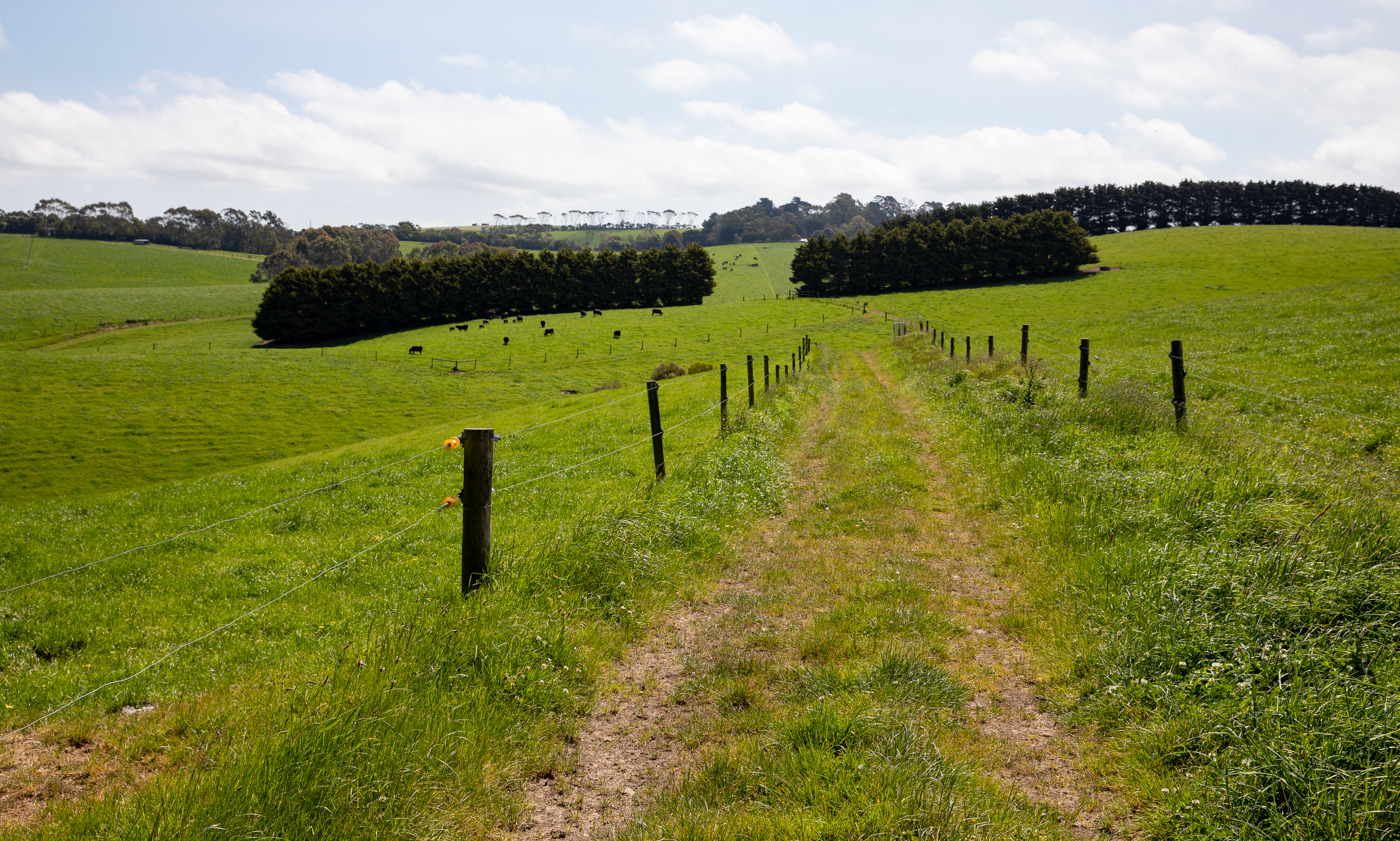 715 Falls Road, Fish Creek For Sale by Farmbuy.com - image 27