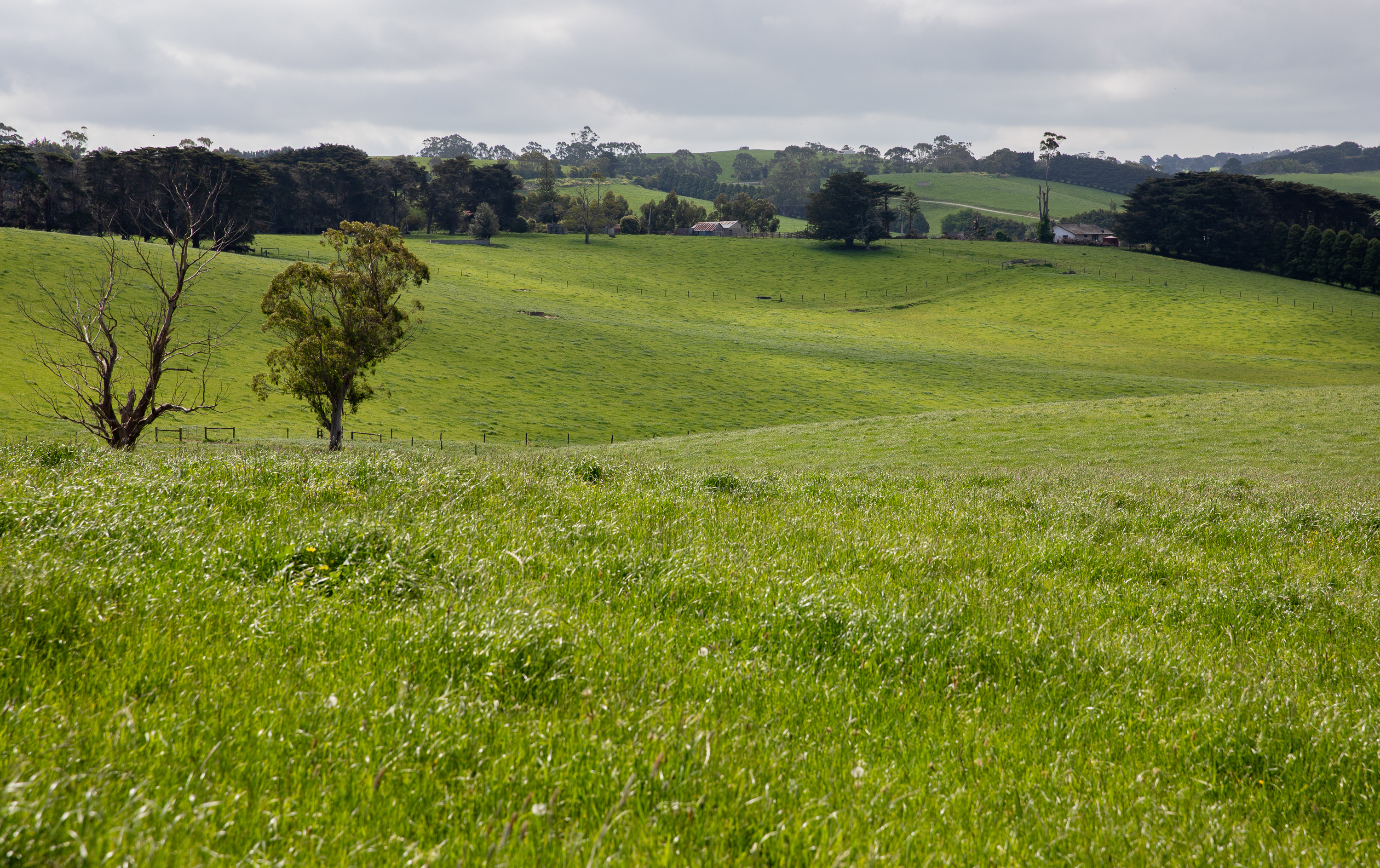 715 Falls Road, Fish Creek For Sale by Farmbuy.com - image 29