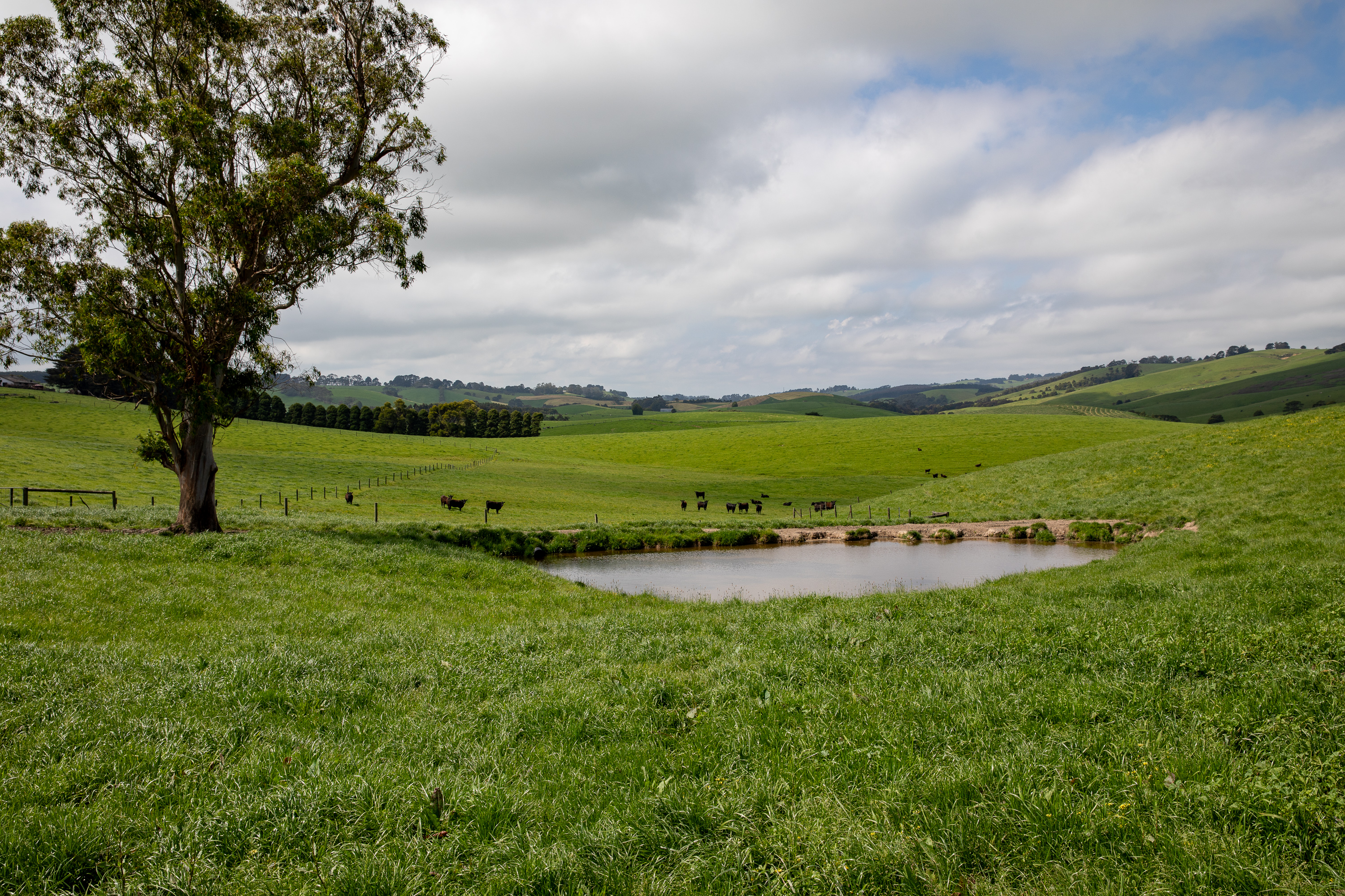 715 Falls Road, Fish Creek For Sale by Farmbuy.com - image 32