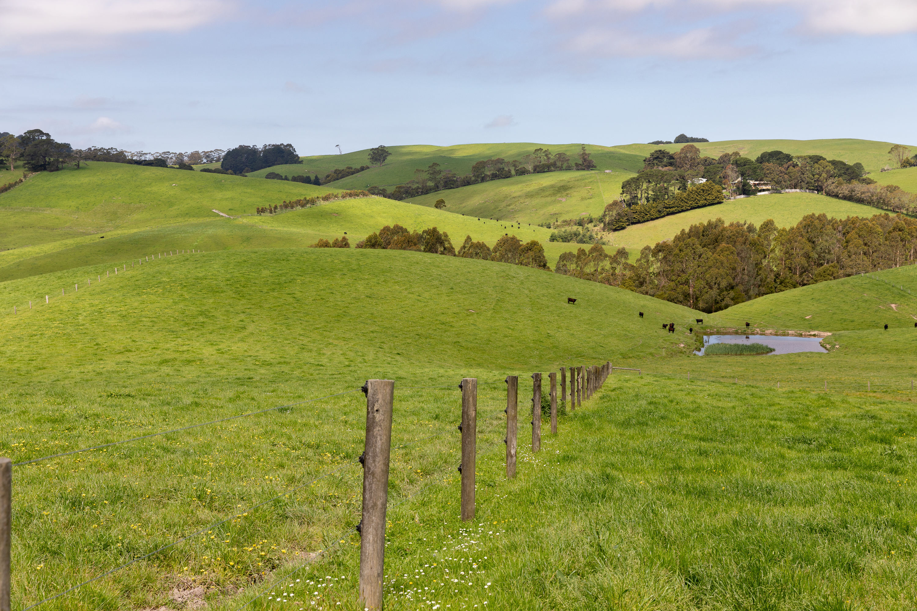 715 Falls Road, Fish Creek For Sale by Farmbuy.com - image 33