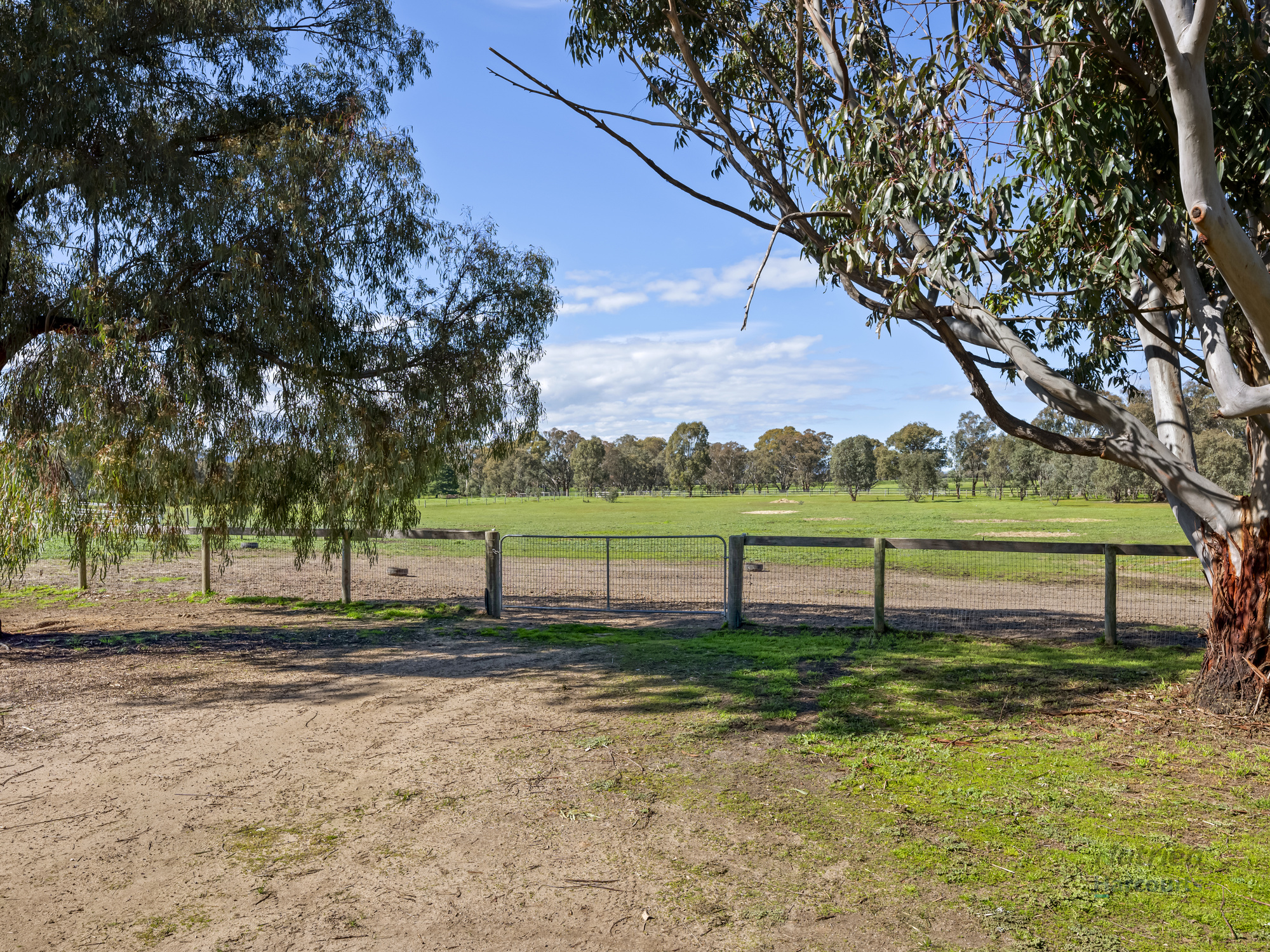 35 Scobie Road, Longwood East For Sale by Farmbuy.com - image 24
