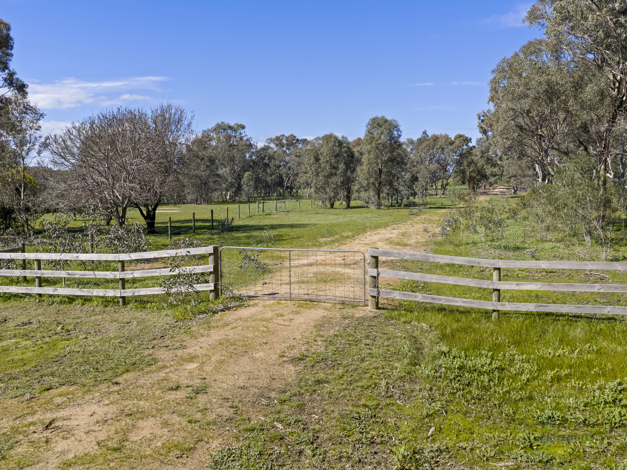 35 Scobie Road, Longwood East For Sale by Farmbuy.com - image 26
