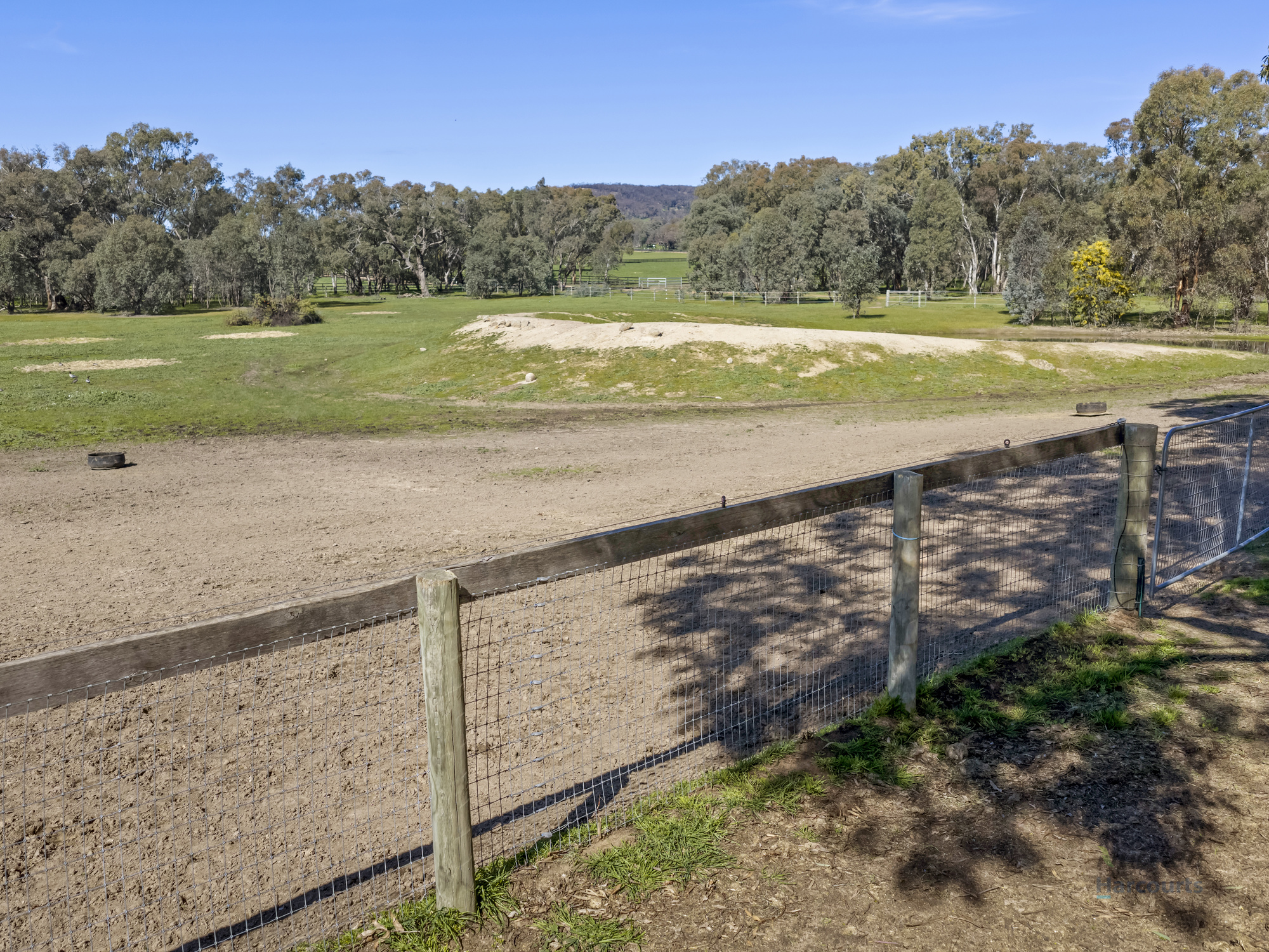 35 Scobie Road, Longwood East For Sale by Farmbuy.com - image 25