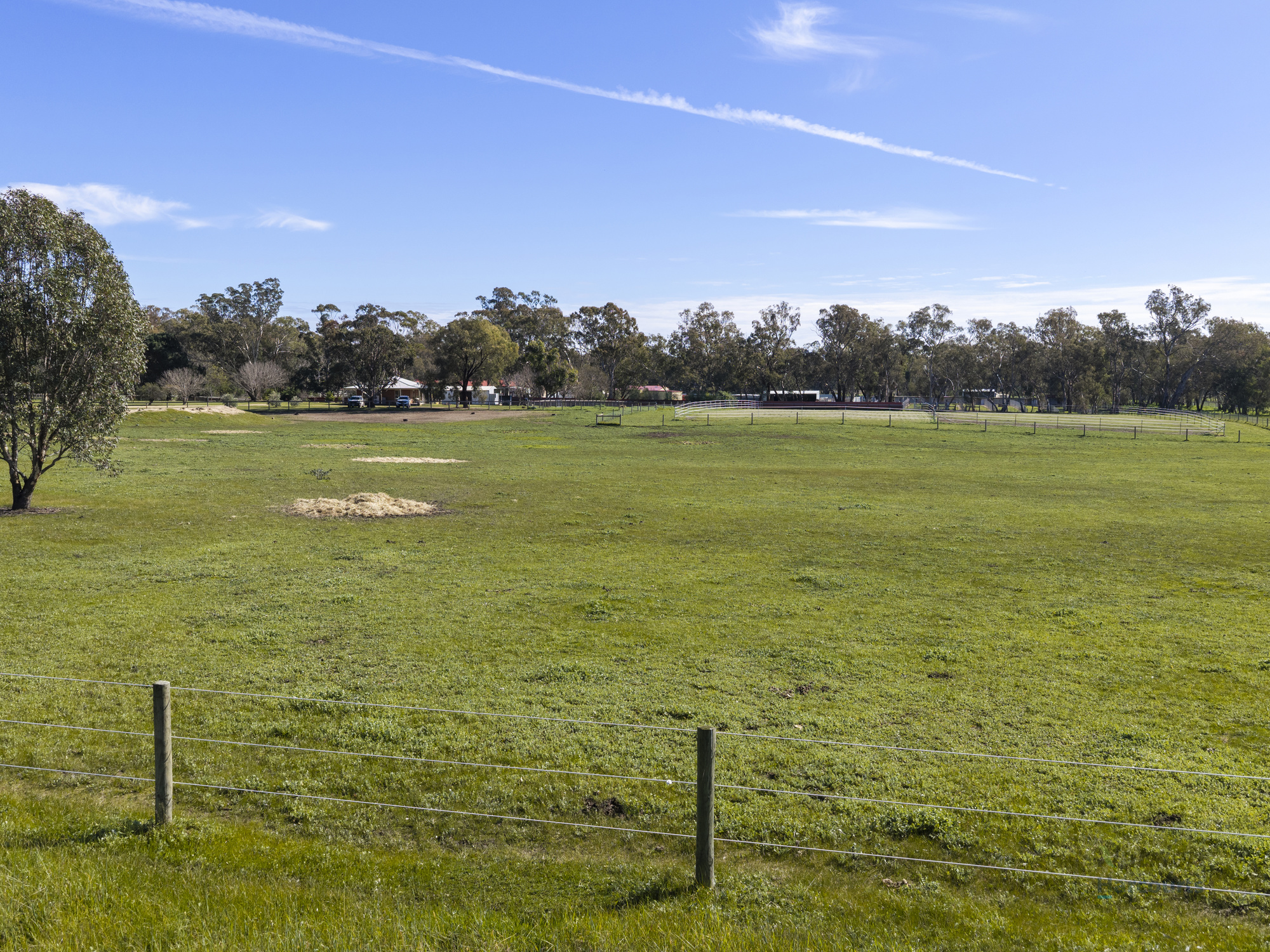 35 Scobie Road, Longwood East For Sale by Farmbuy.com - image 23